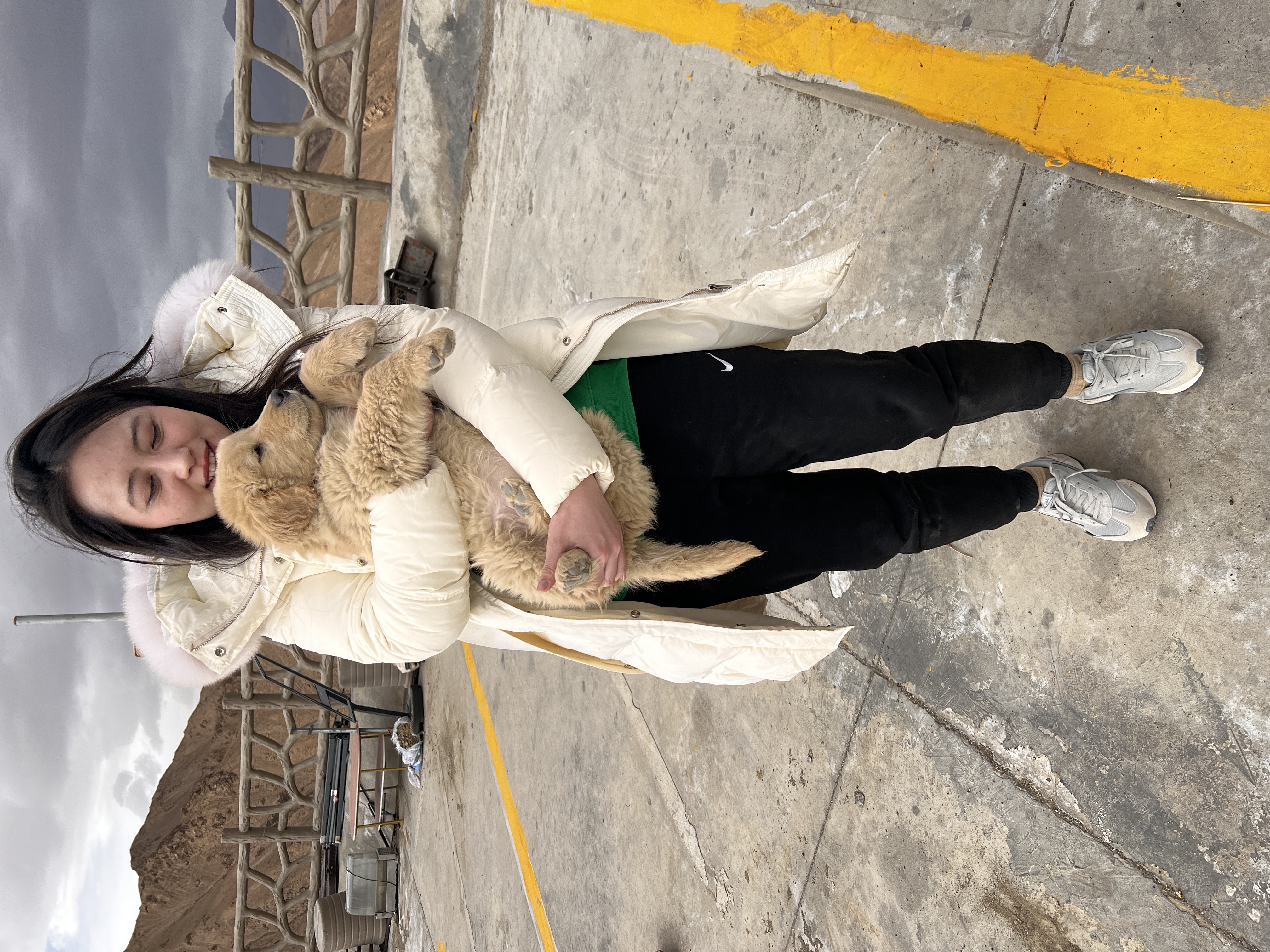 image-15