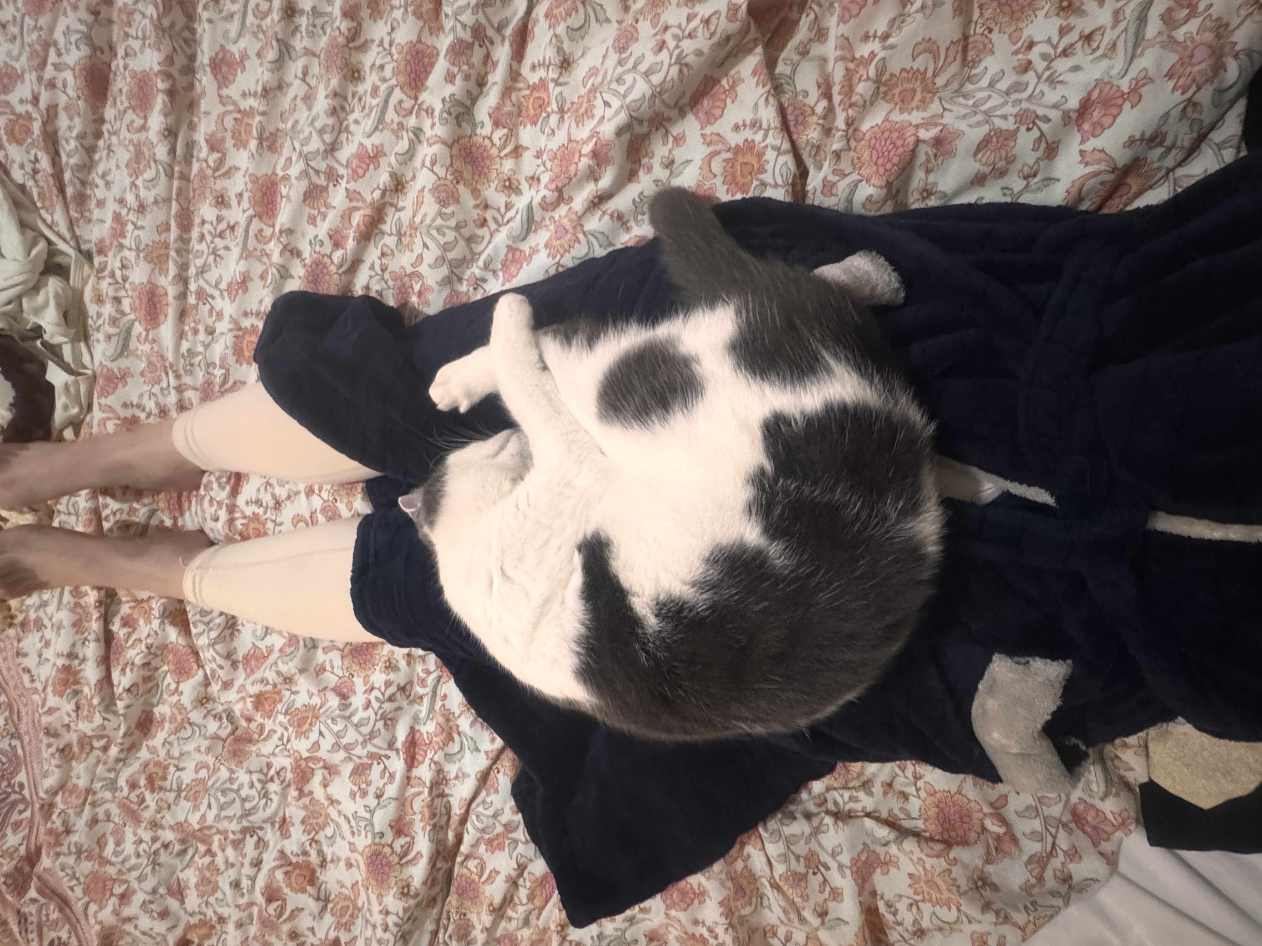 image-7