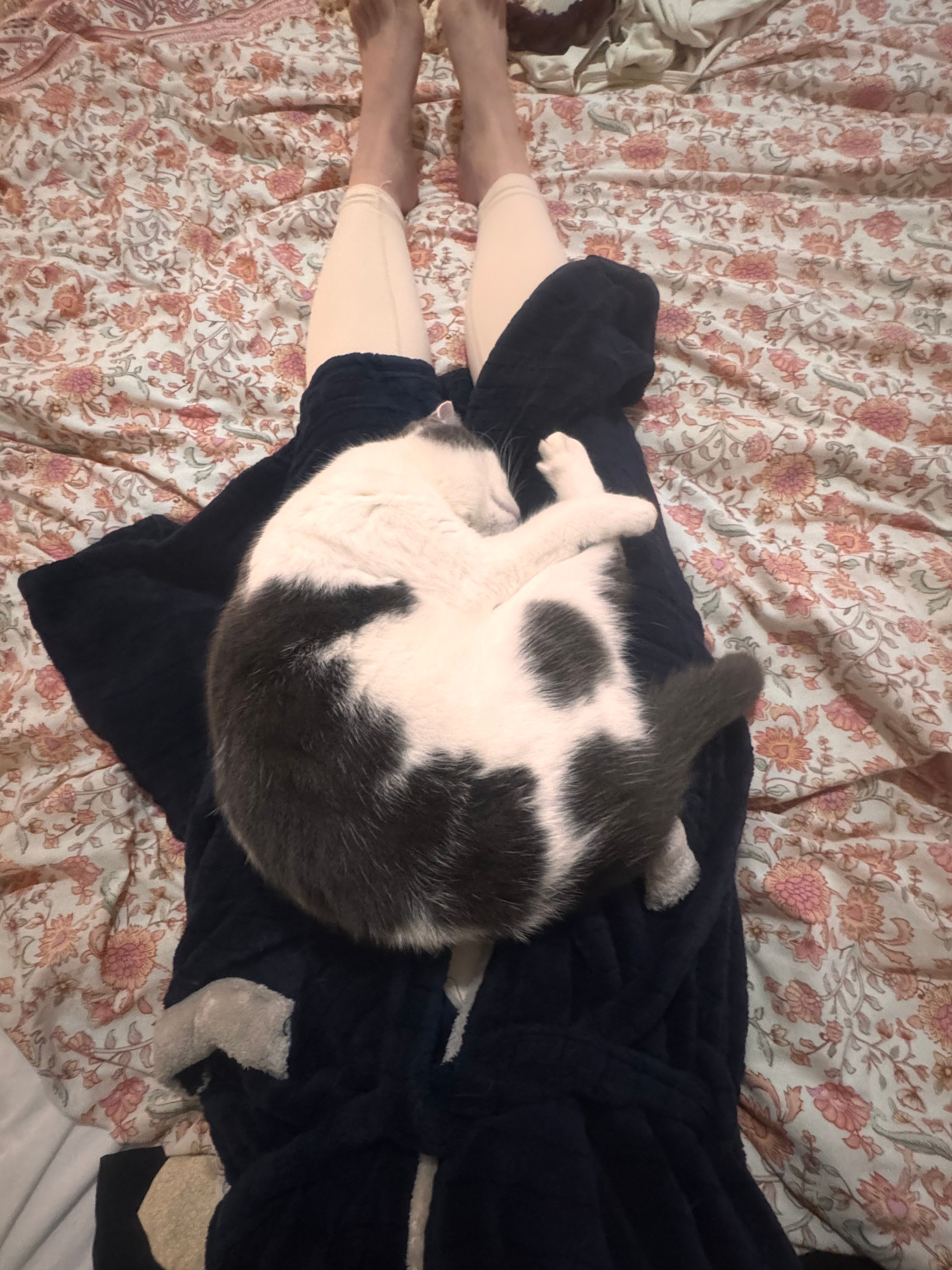image-7