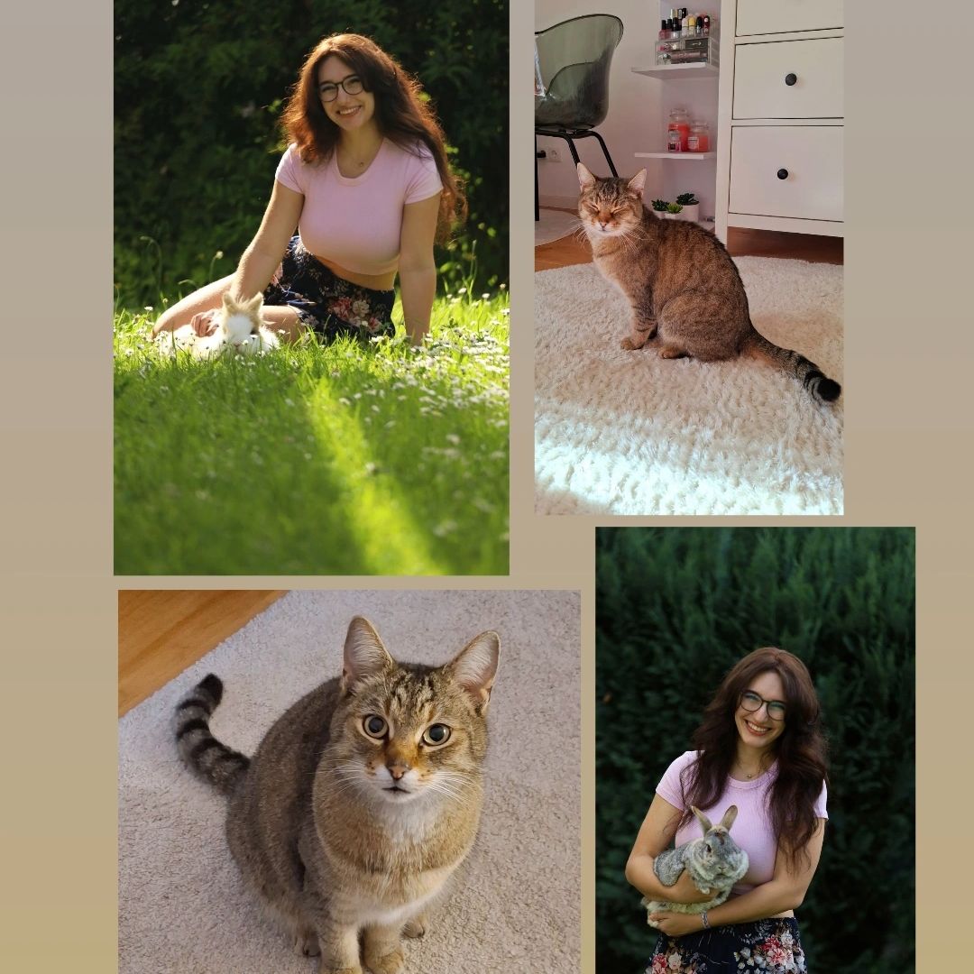 Dori, Pompom, Pupi, Pipo und Zwergwachteln