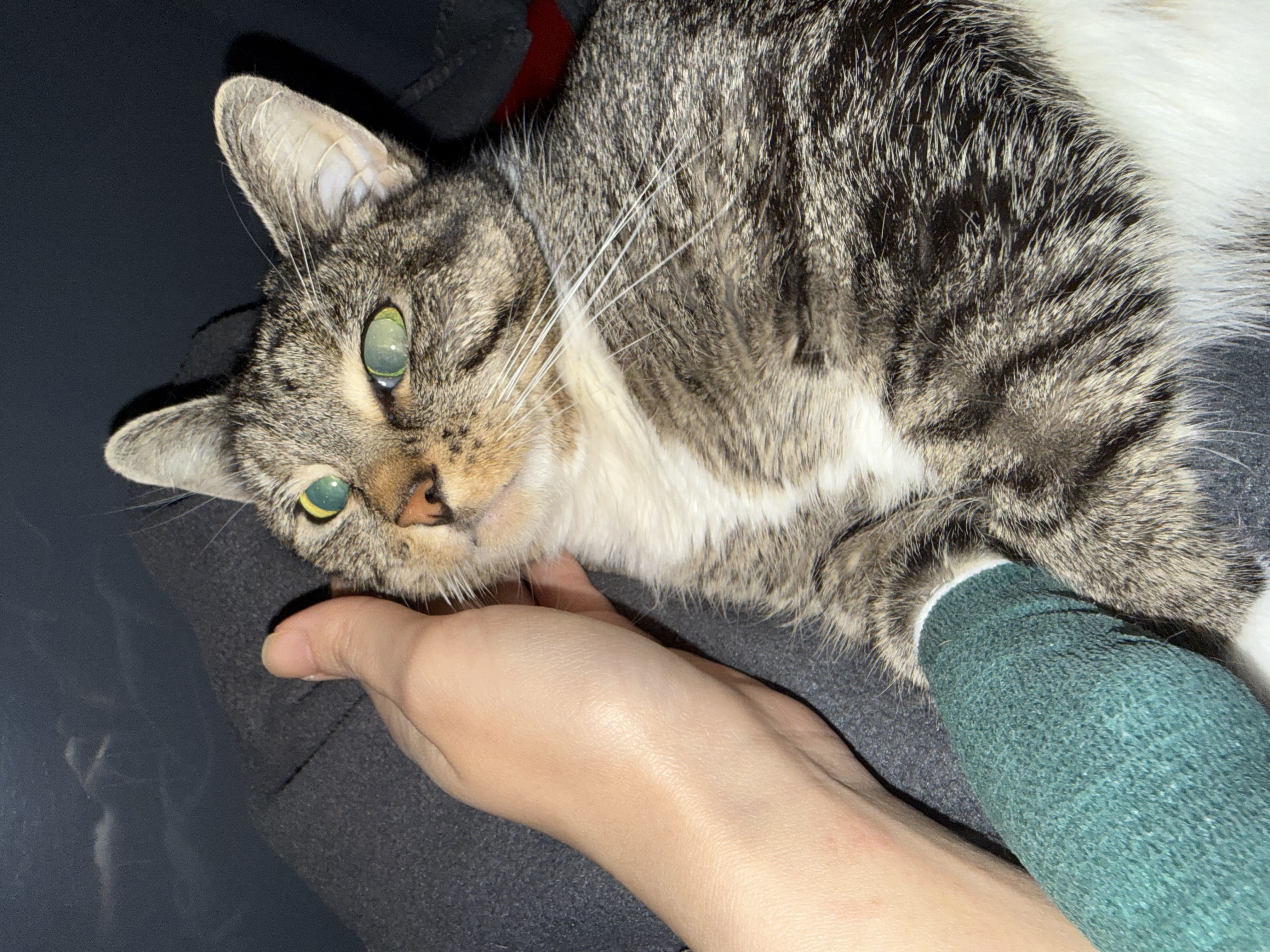 image-6