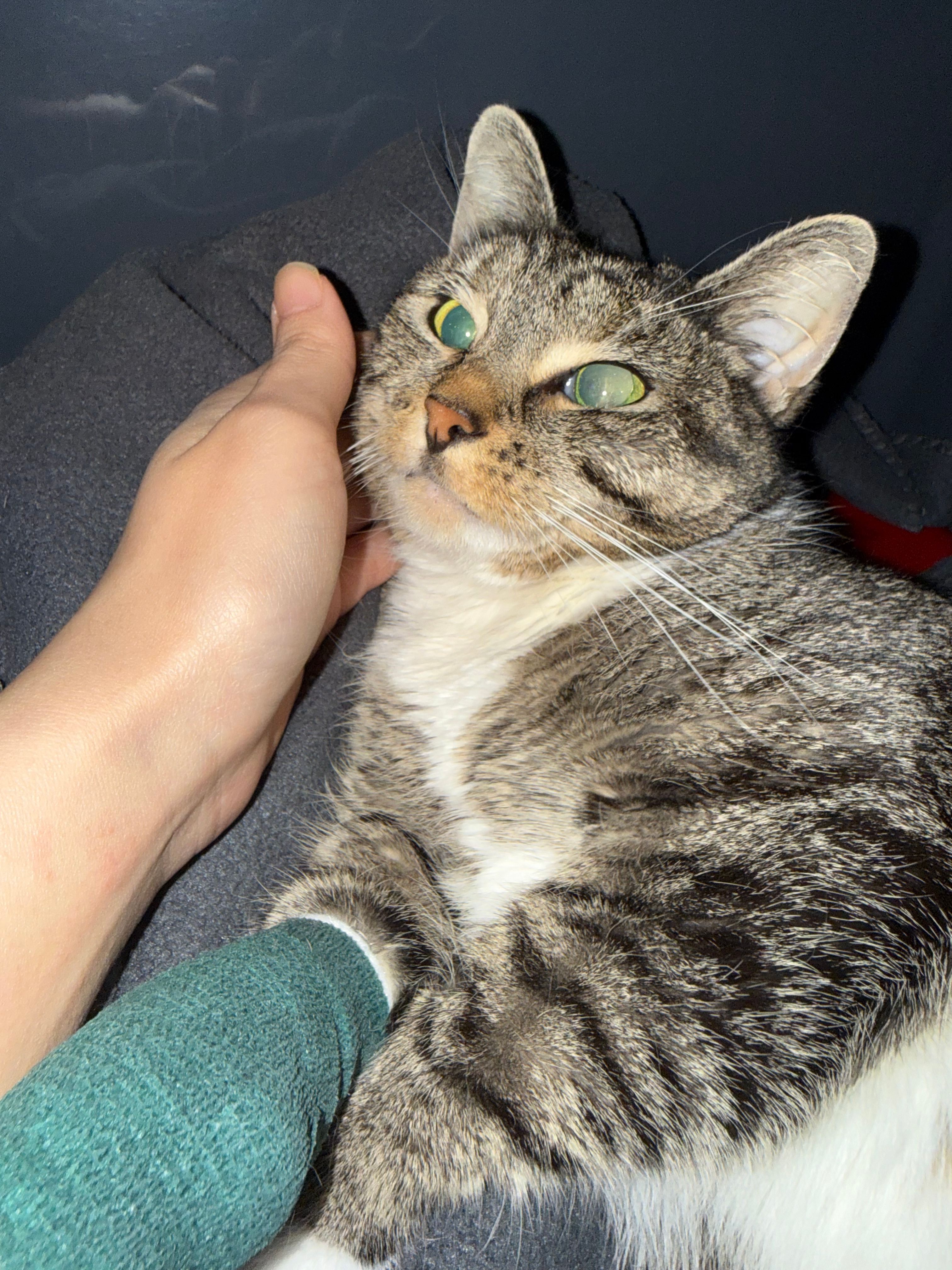 image-6