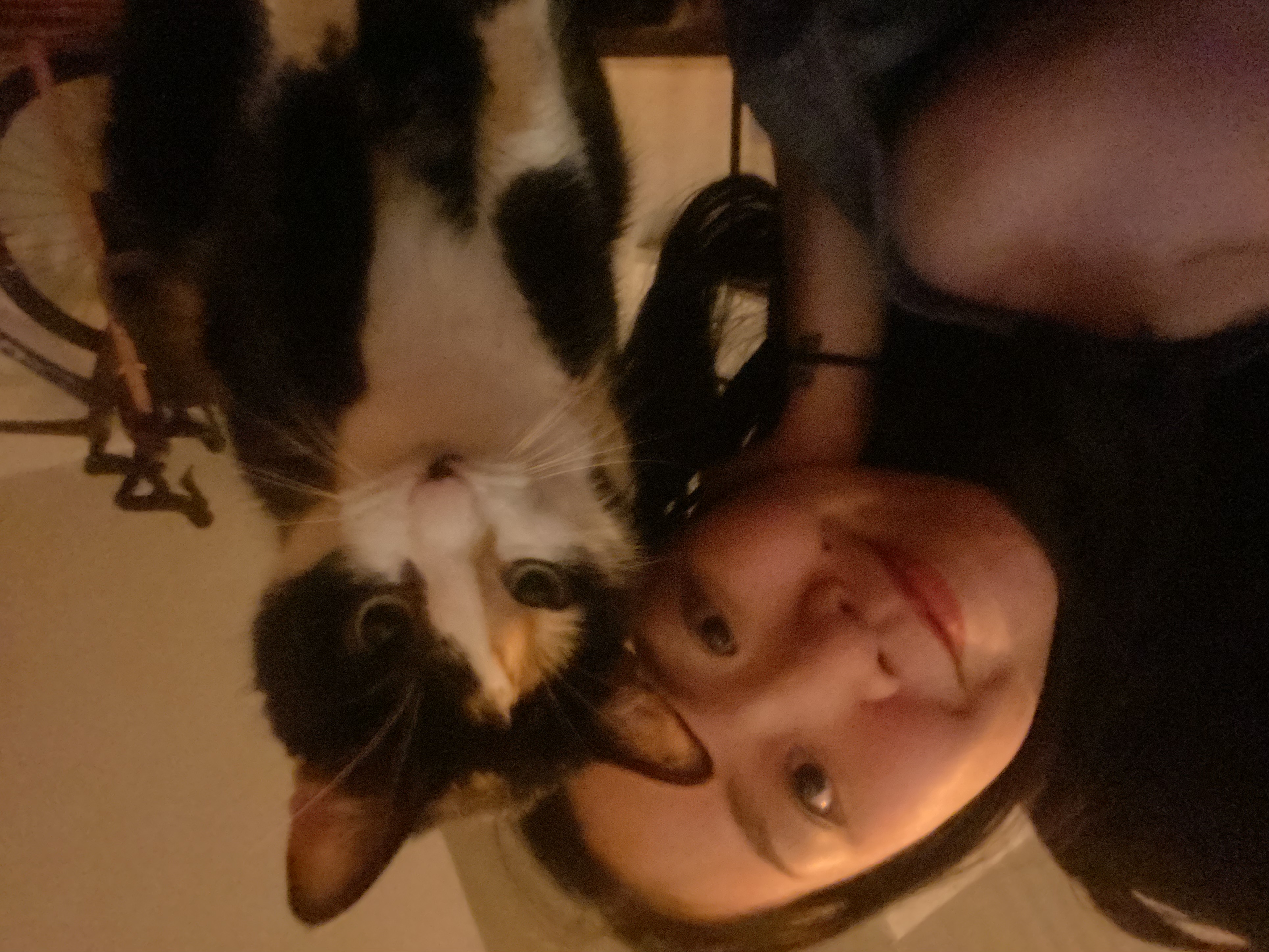 image-11