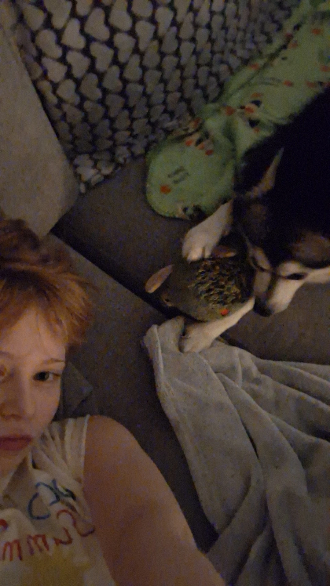 image-5