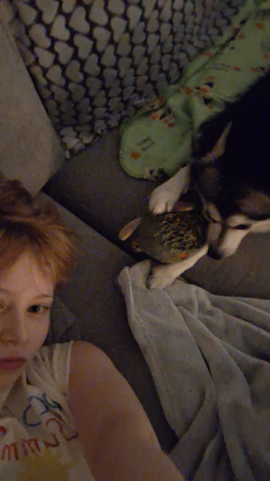 image-5
