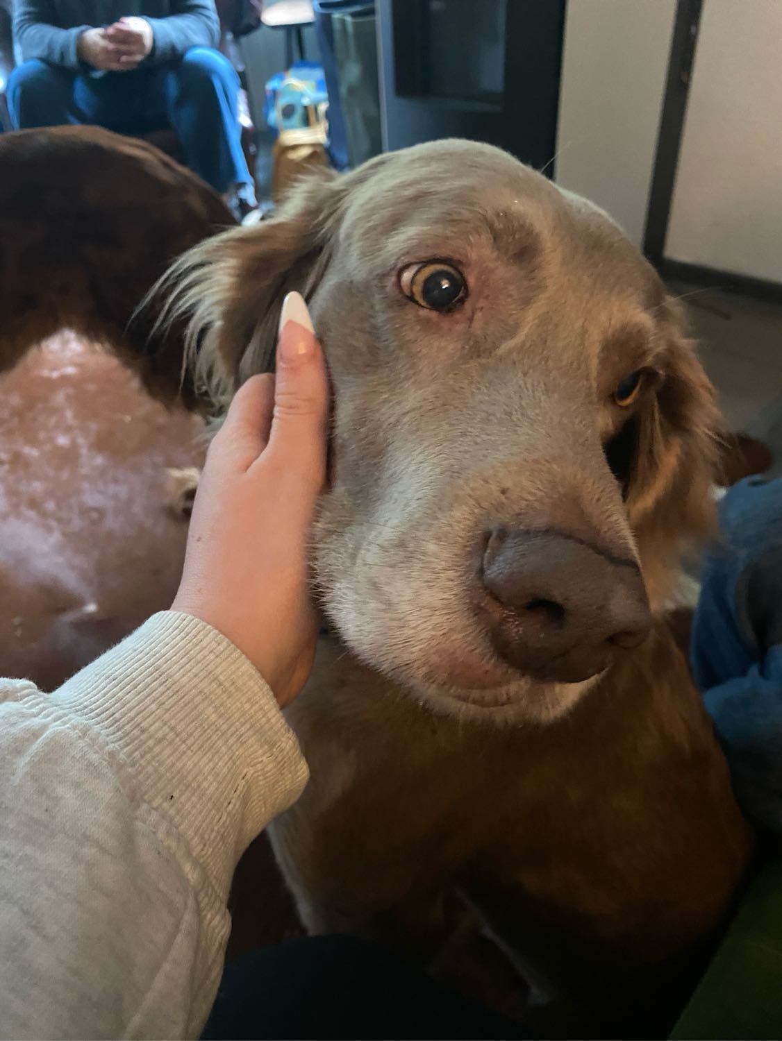 image-3