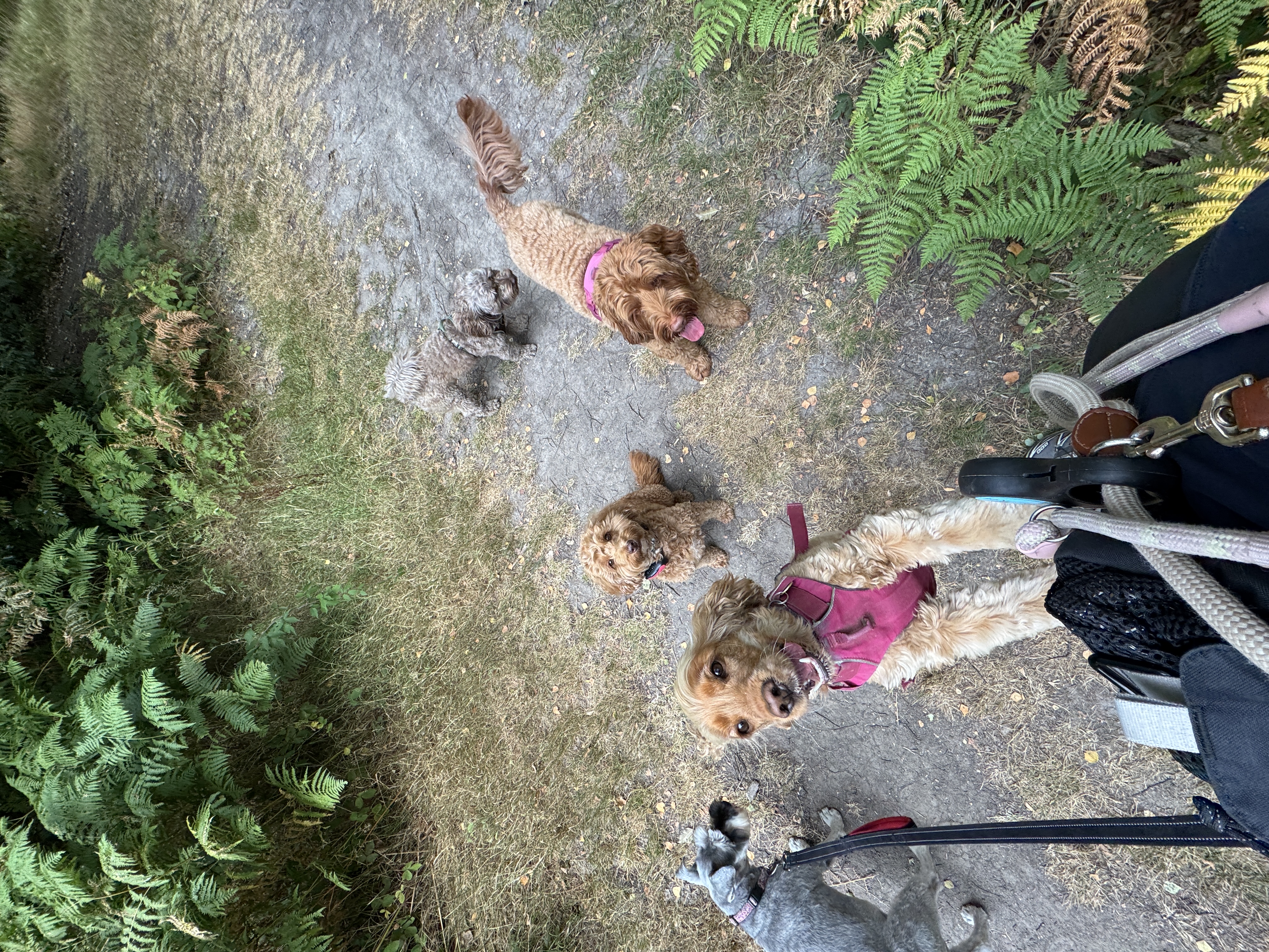 image-5
