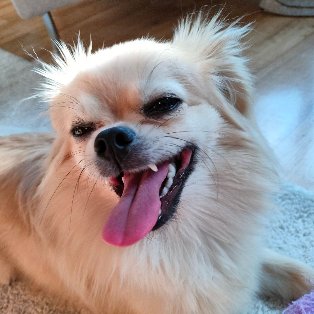 Aiko
