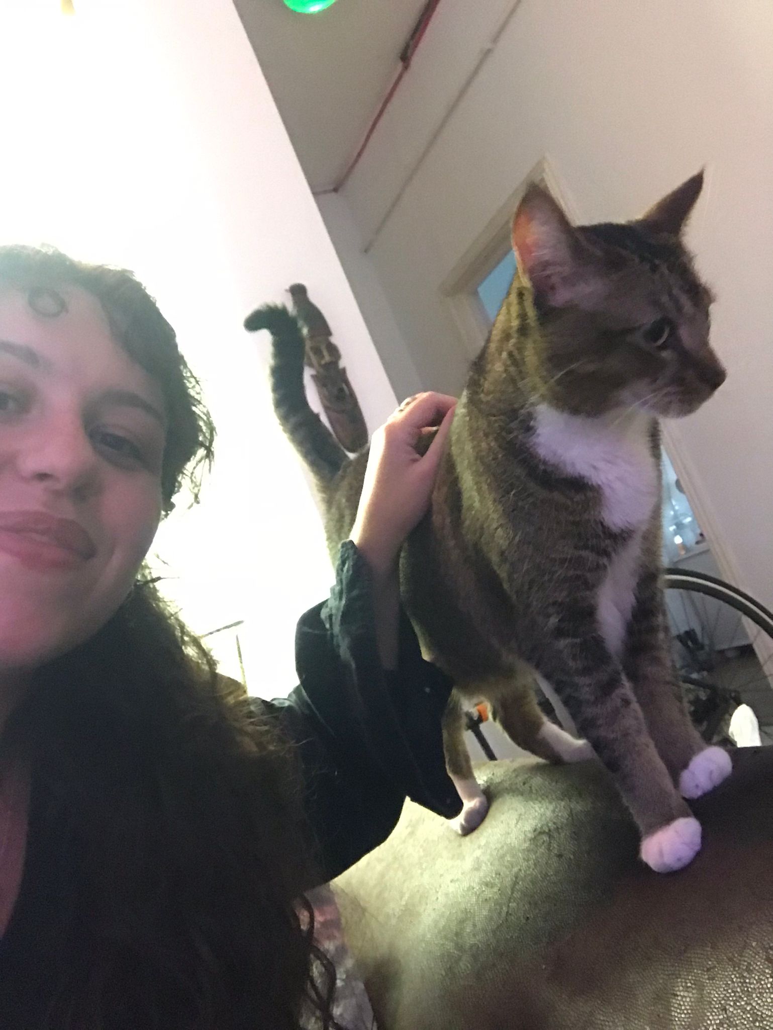 image-6