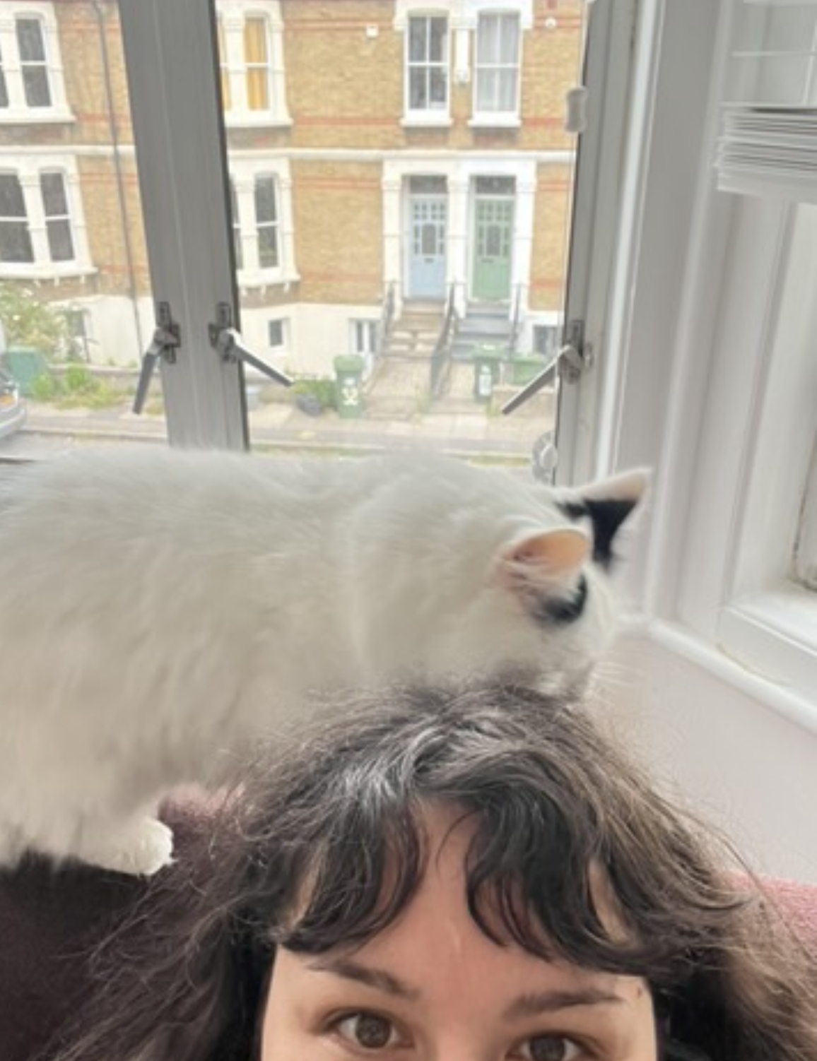 image-10