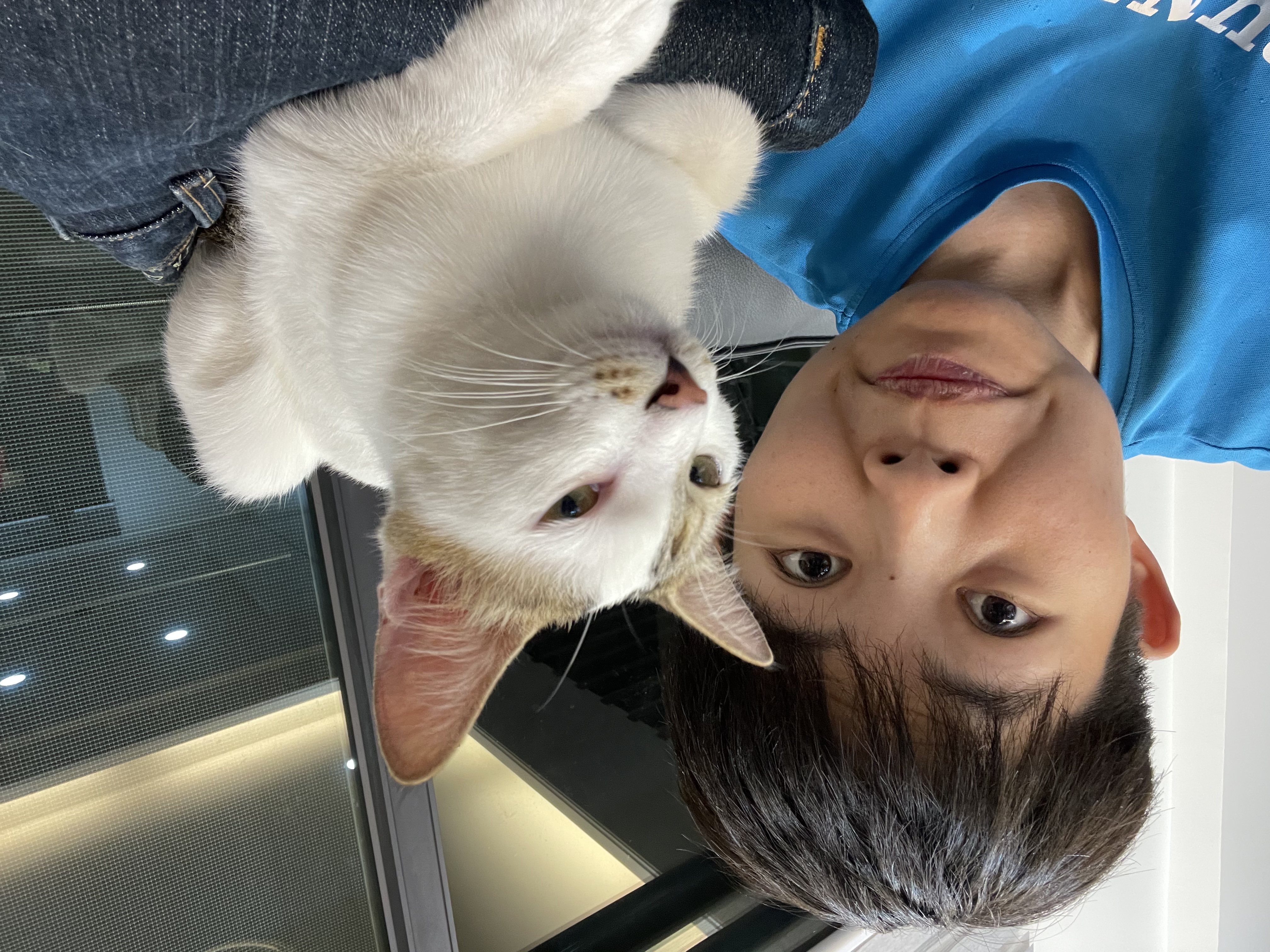 image-10