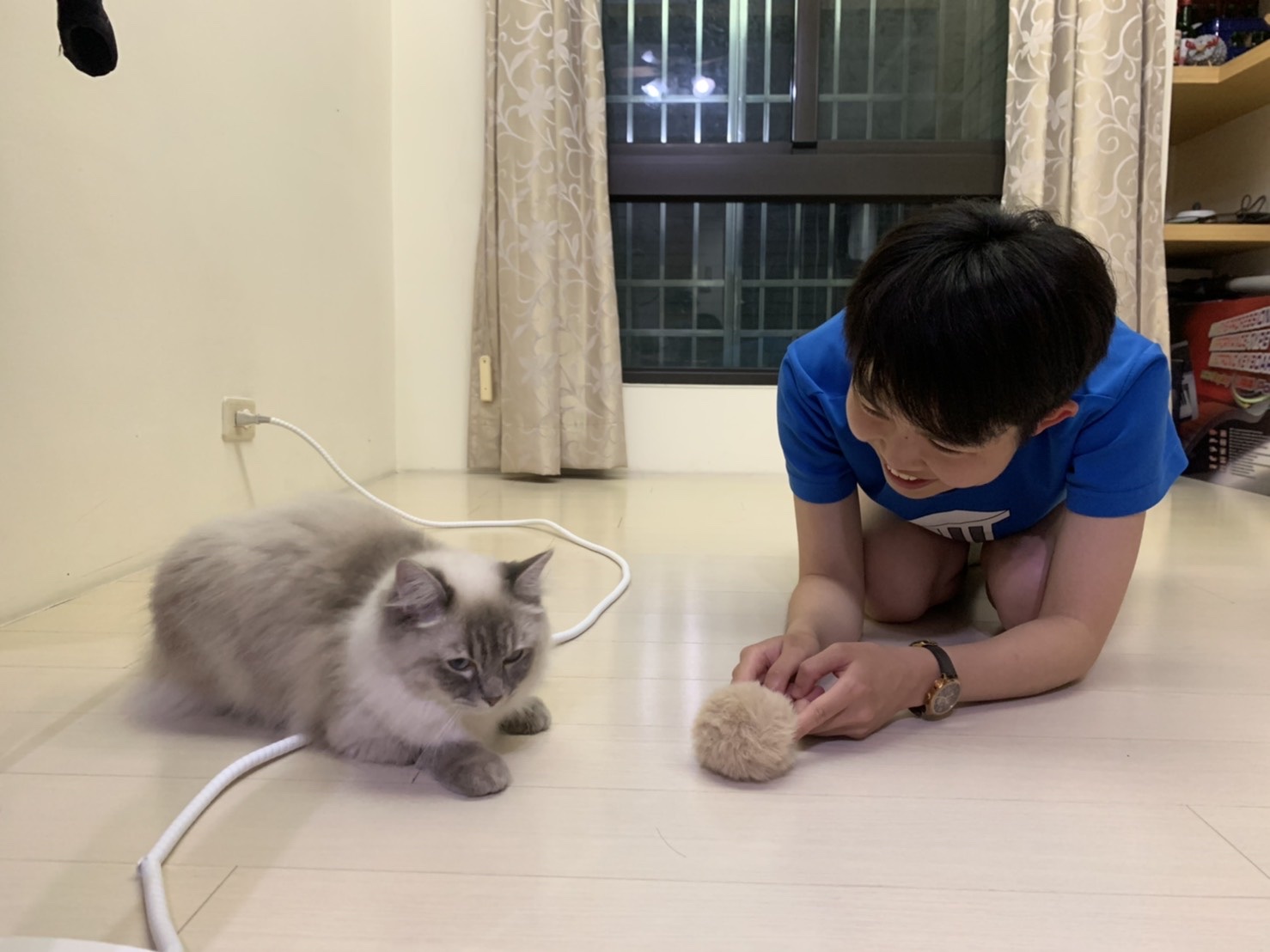 image-8