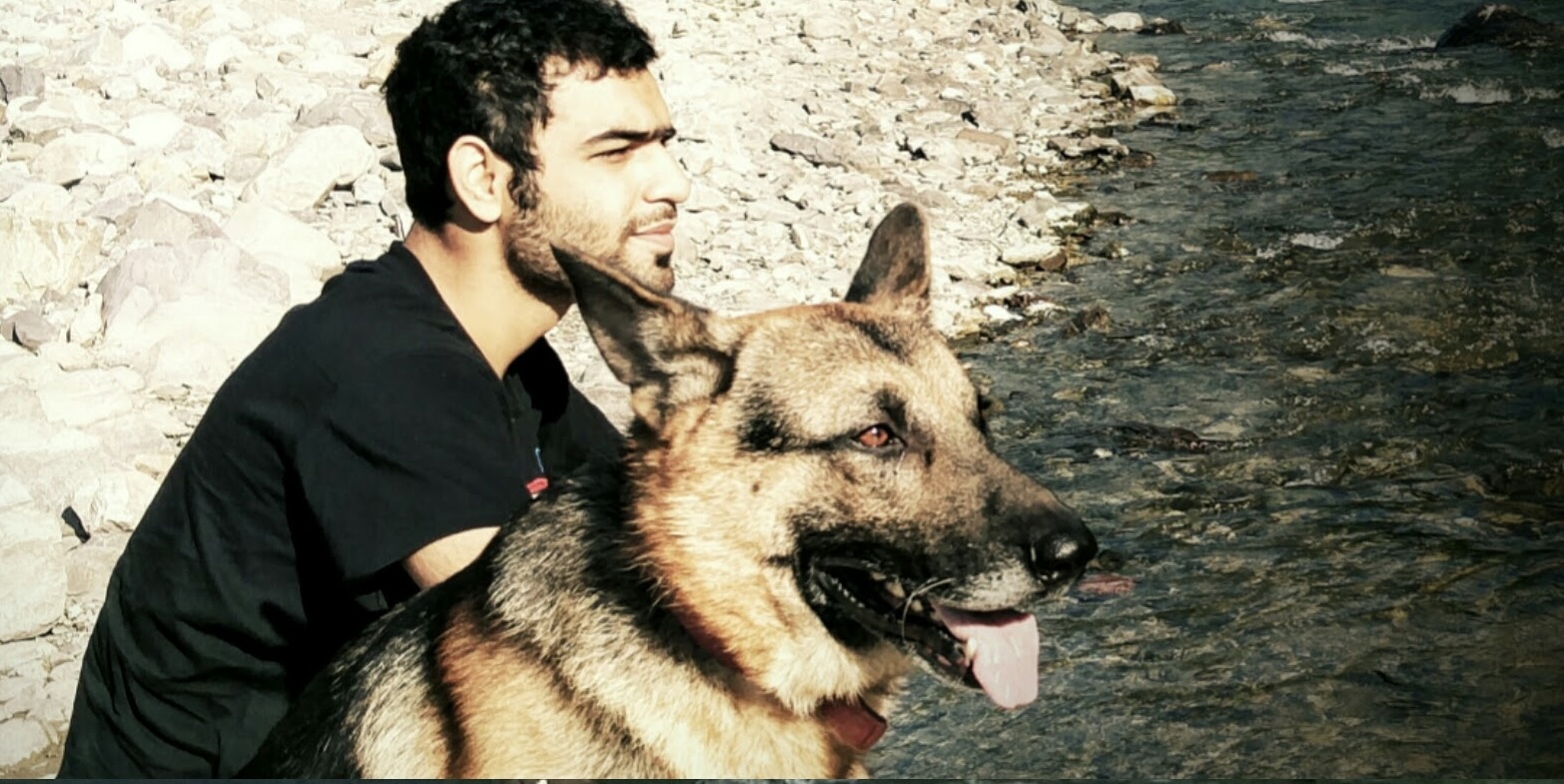 image-6