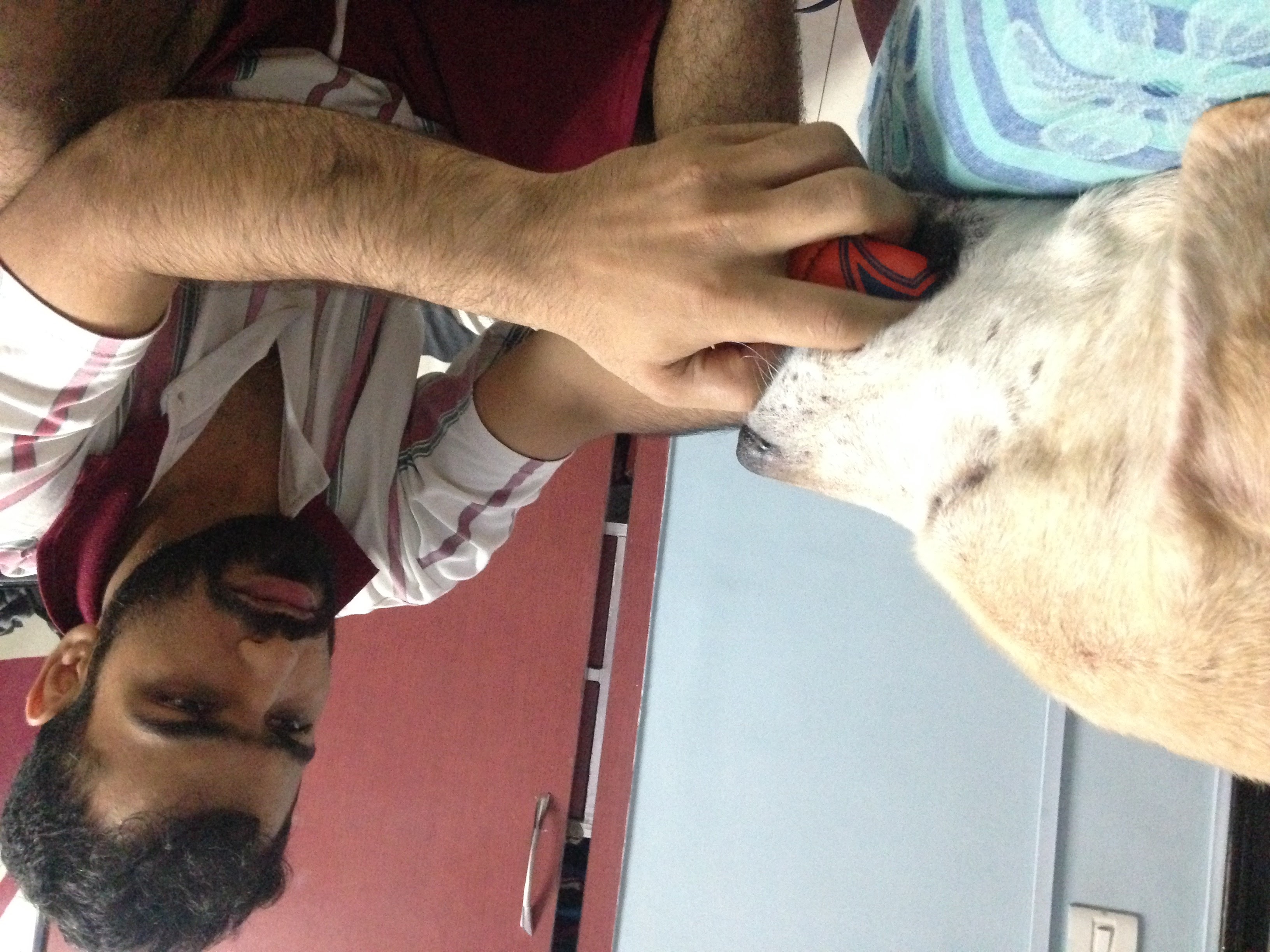 image-4