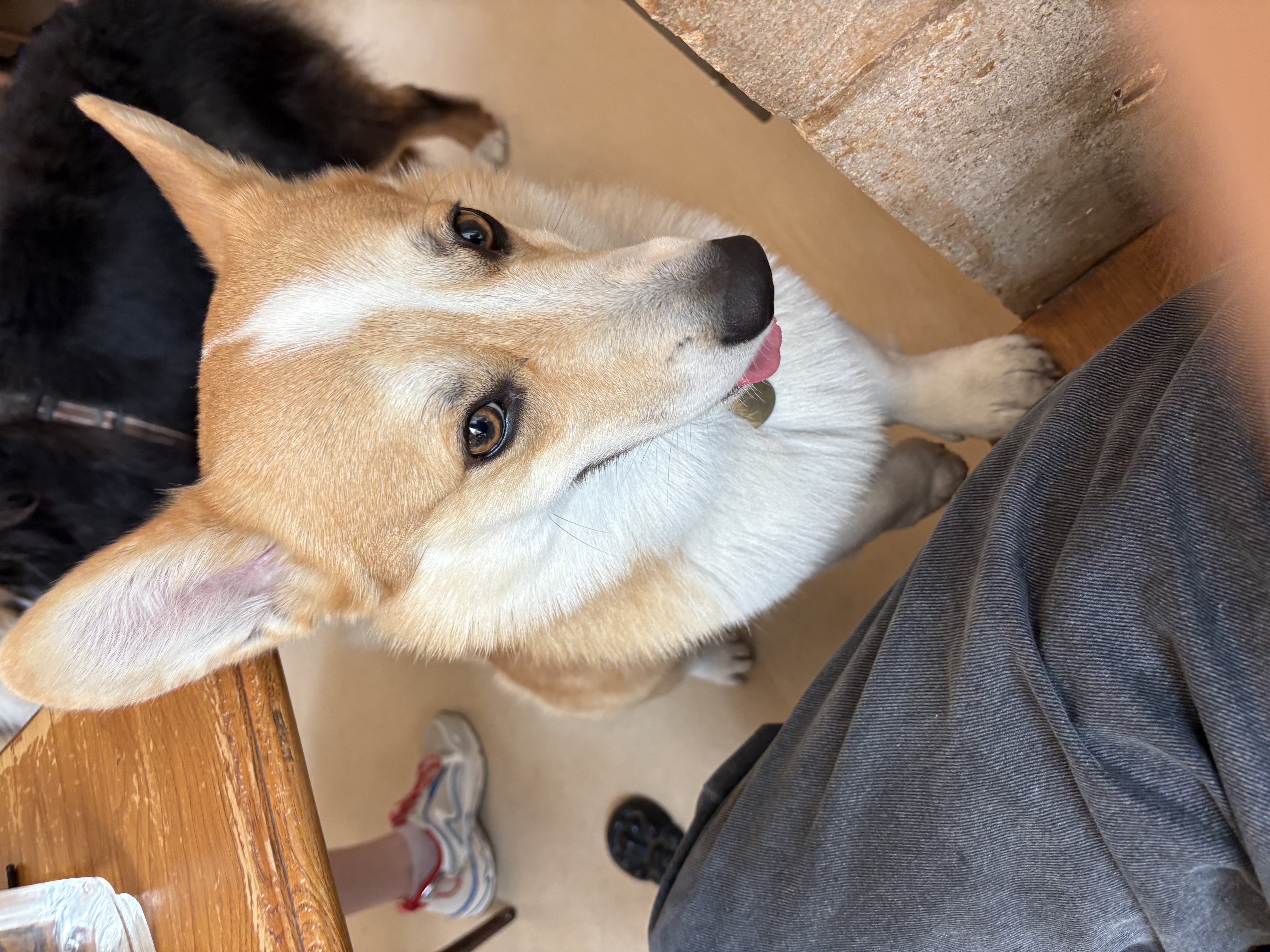 image-10