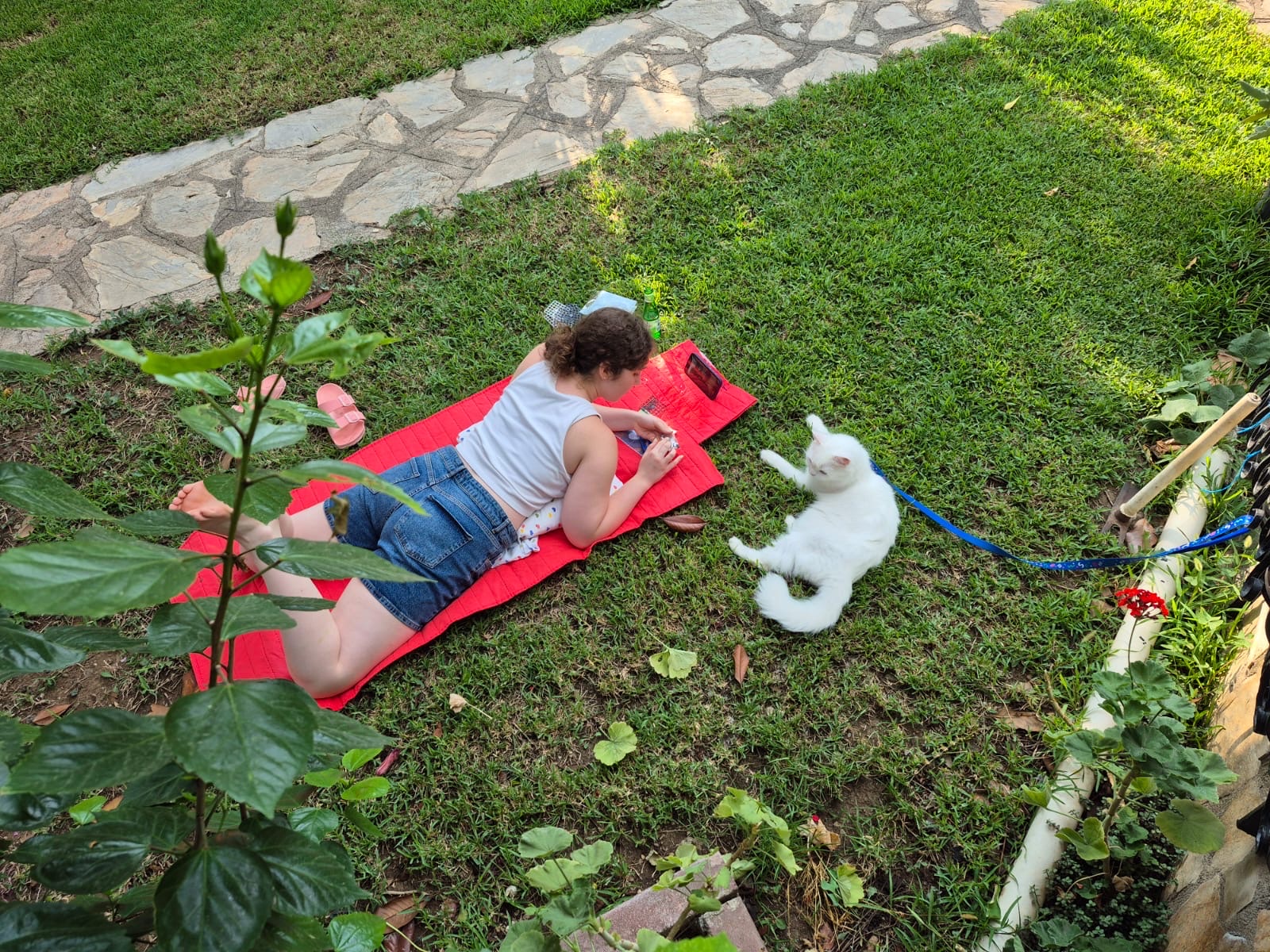 image-7