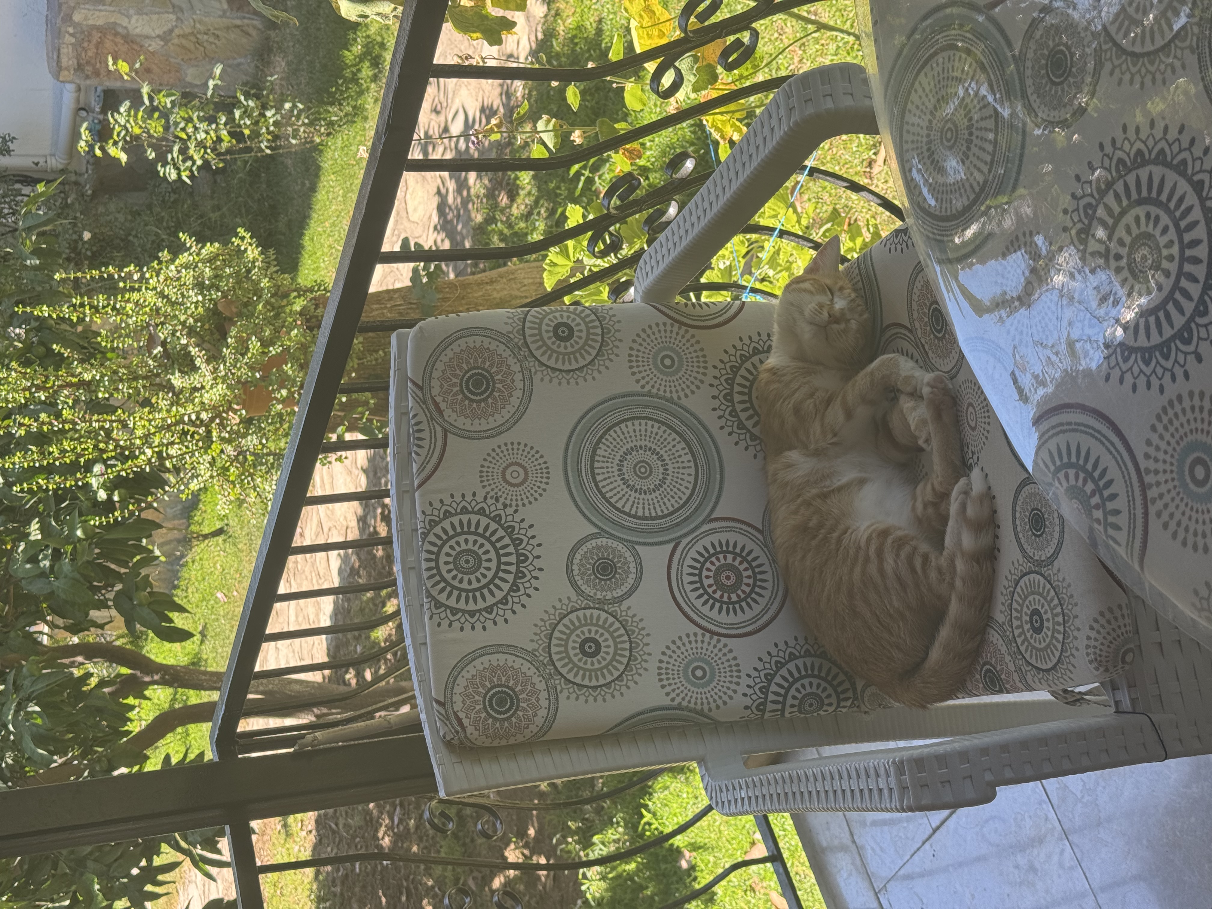 image-6