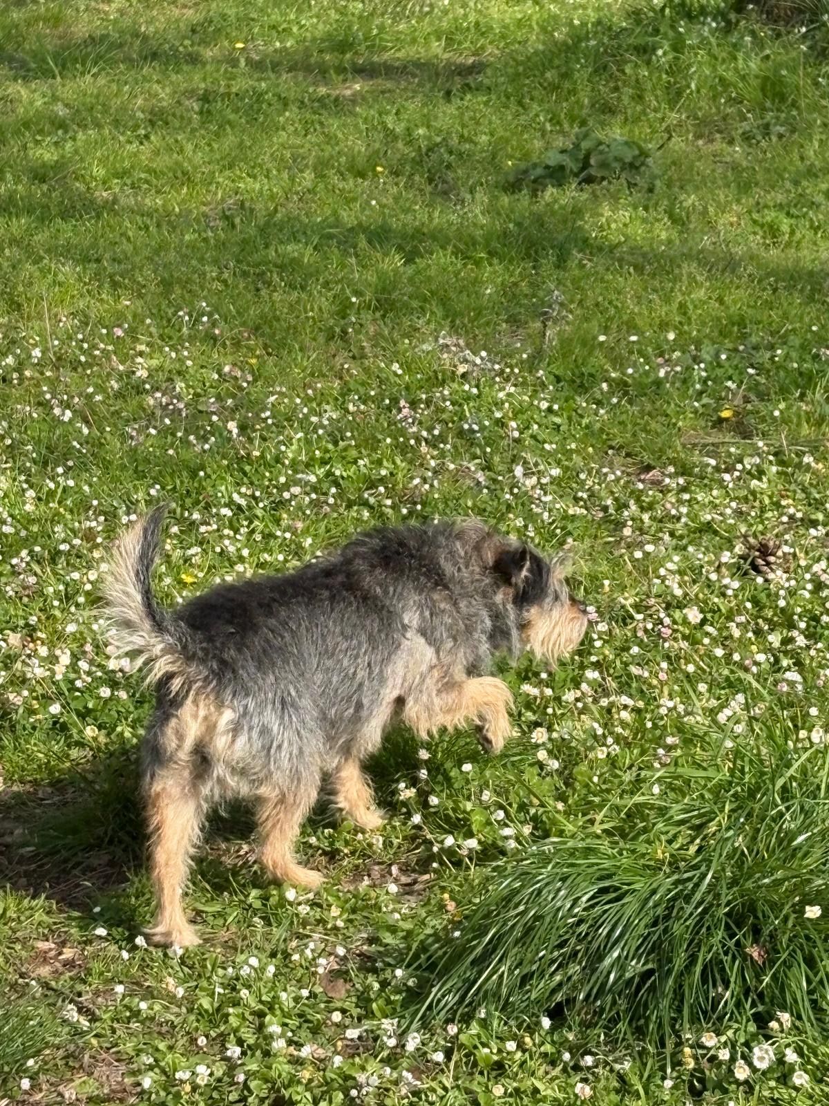 image-5