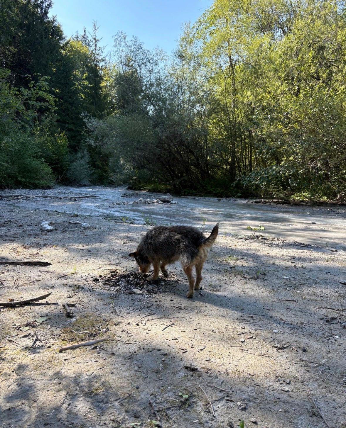 image-9