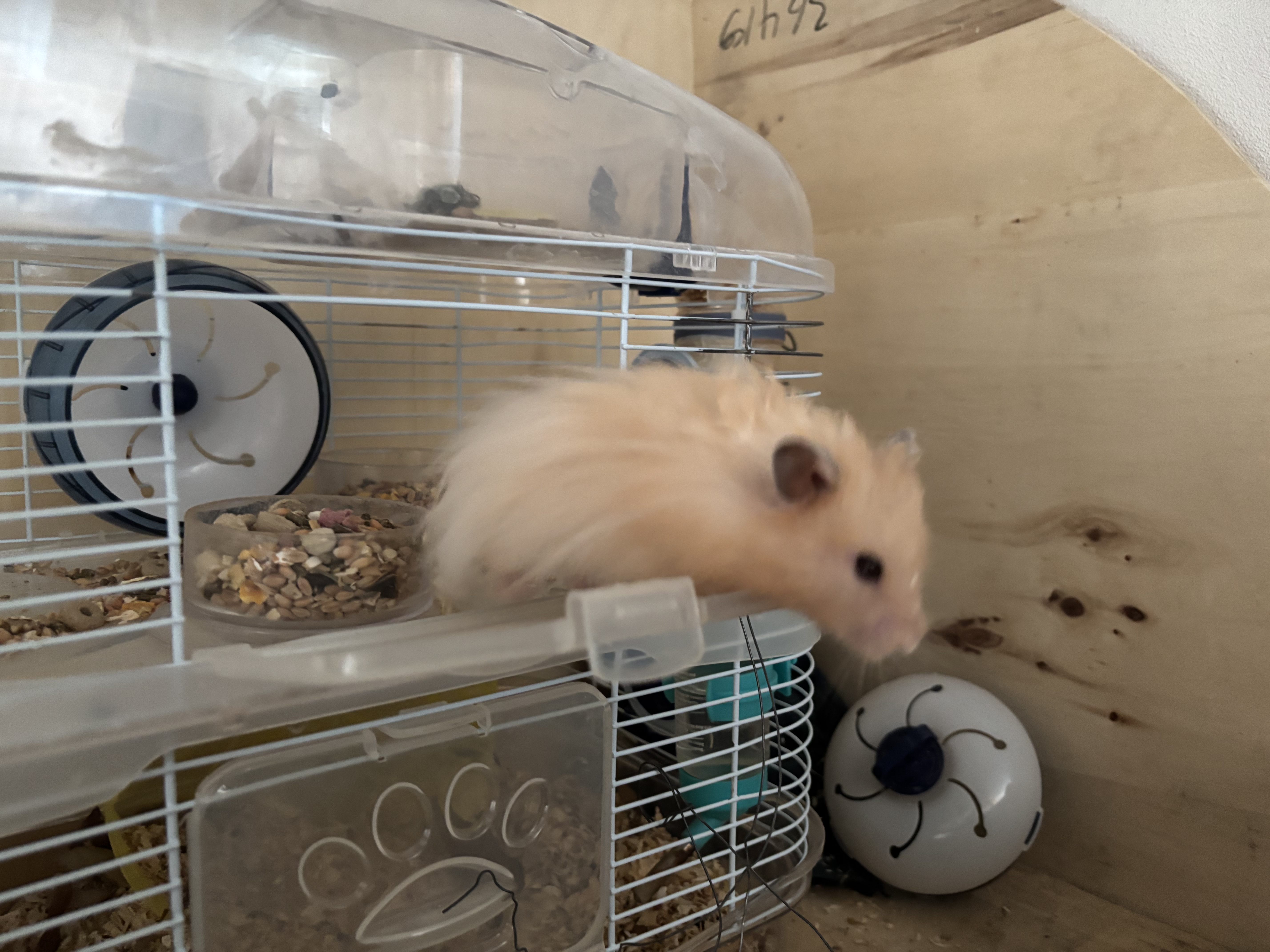 image-7