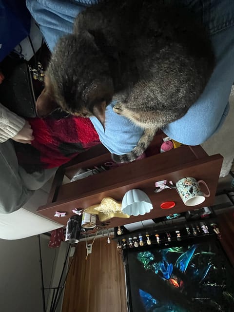 image-5