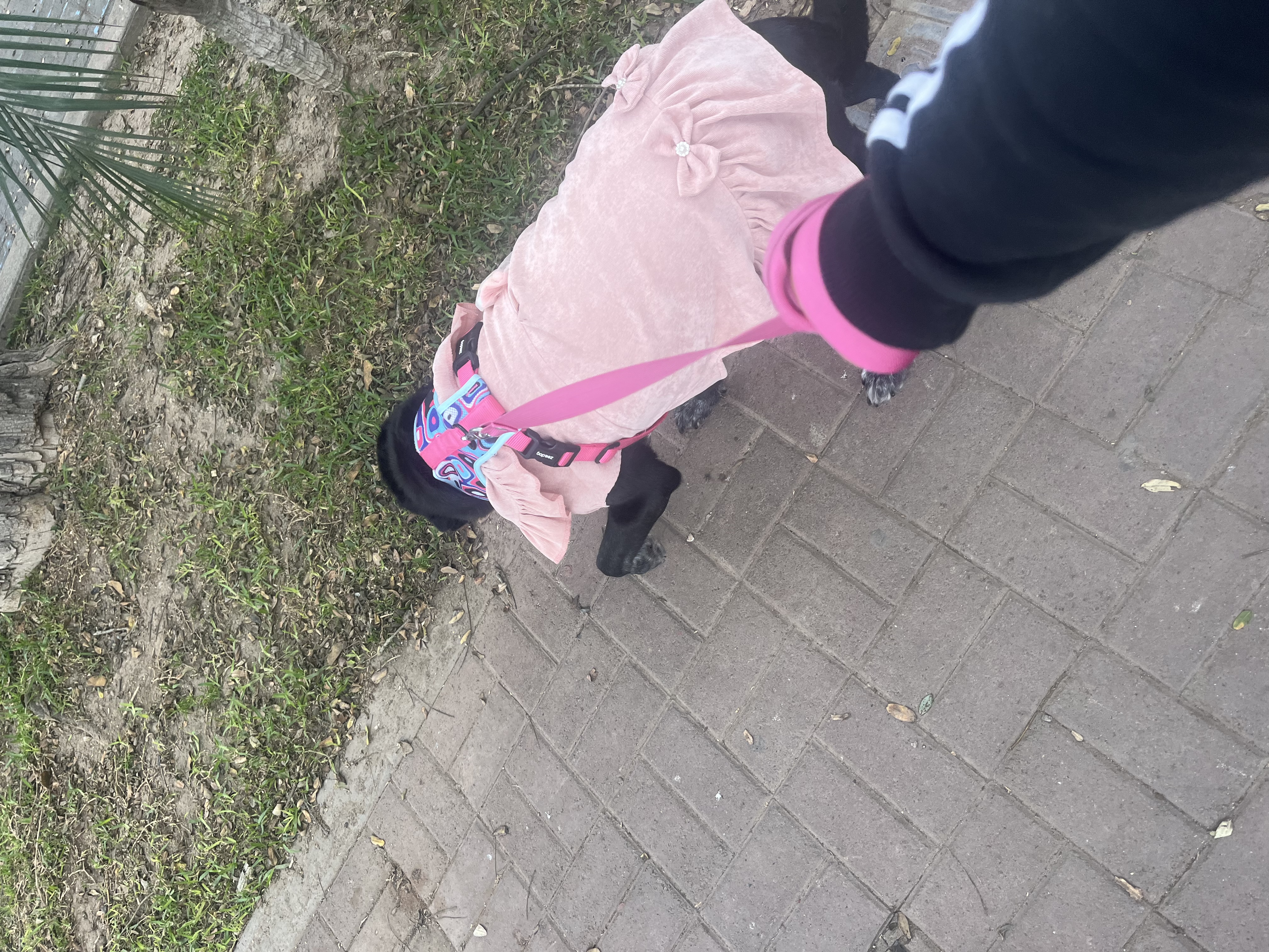 image-11