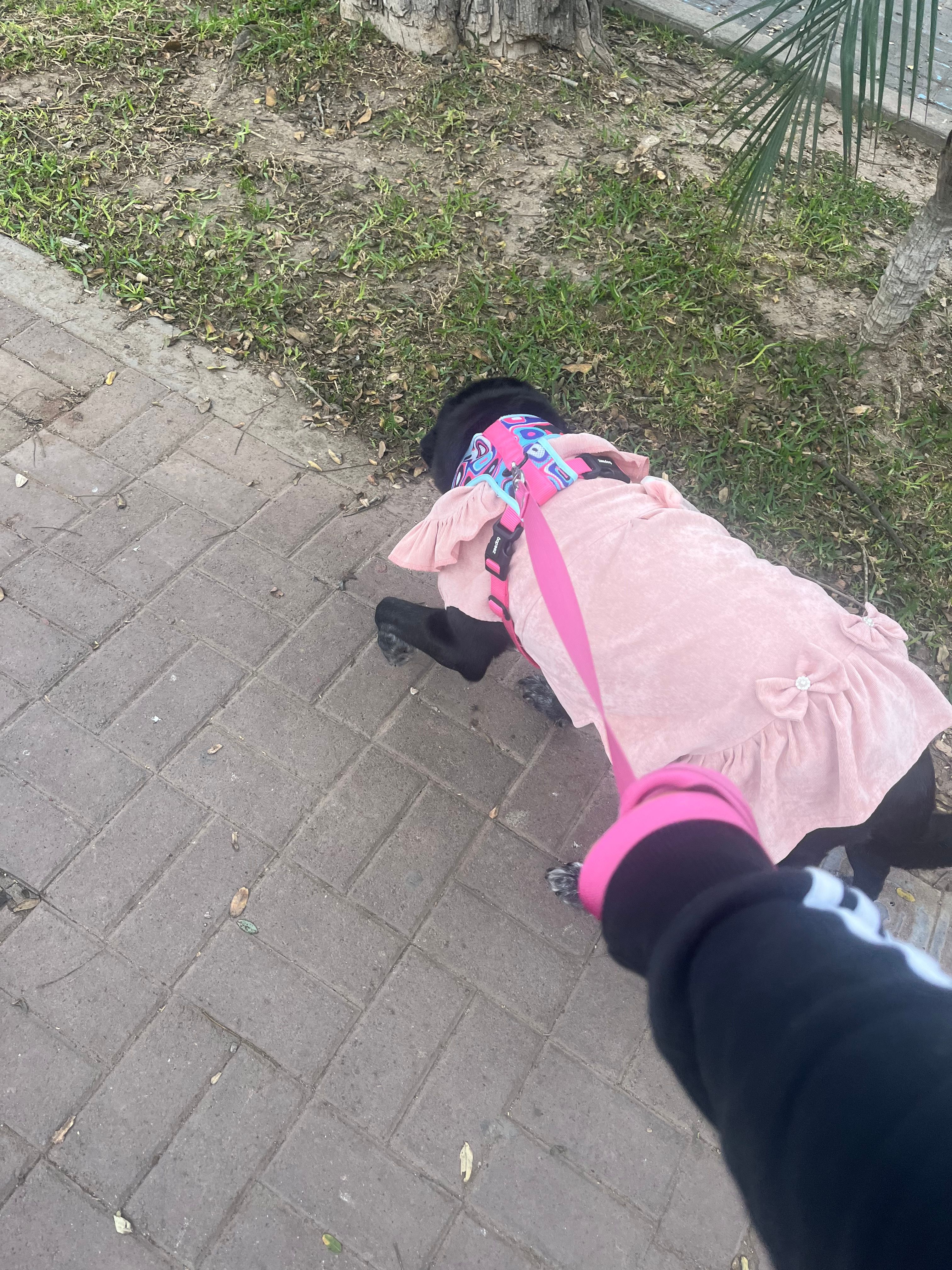 image-11