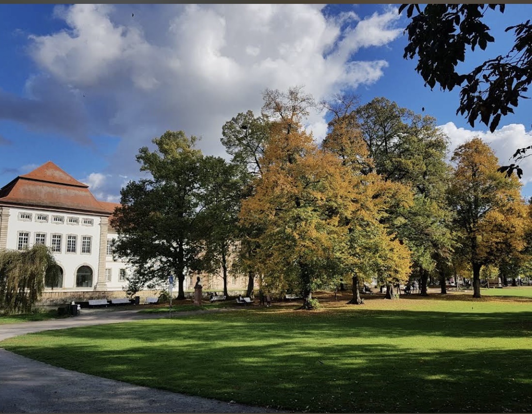 image-14