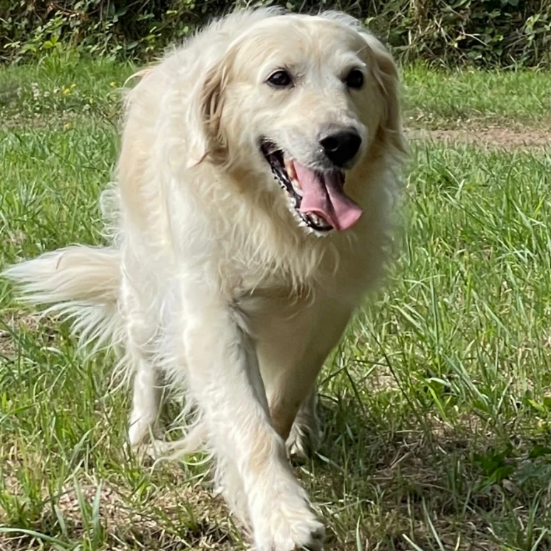 Françoise