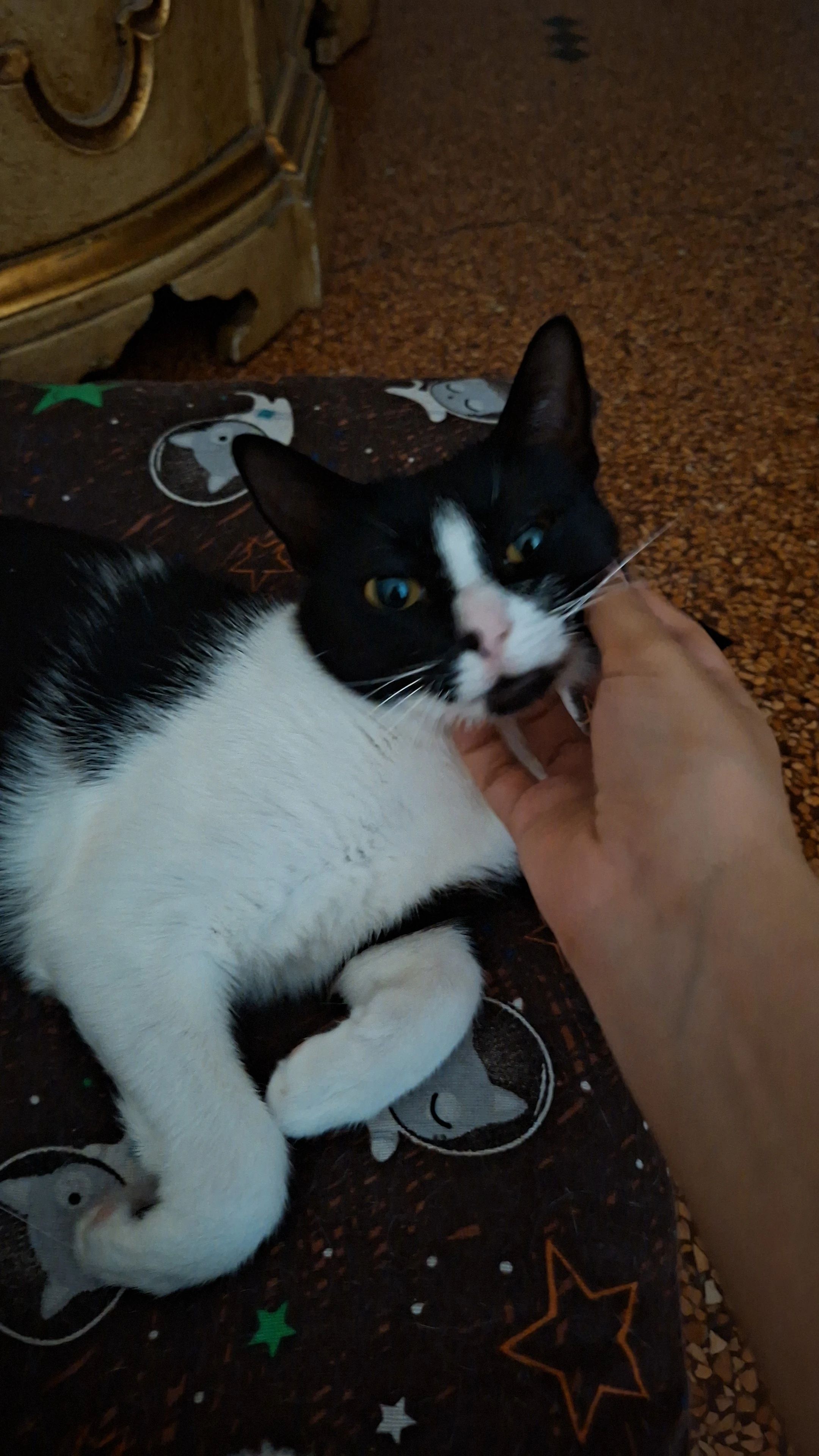 image-8