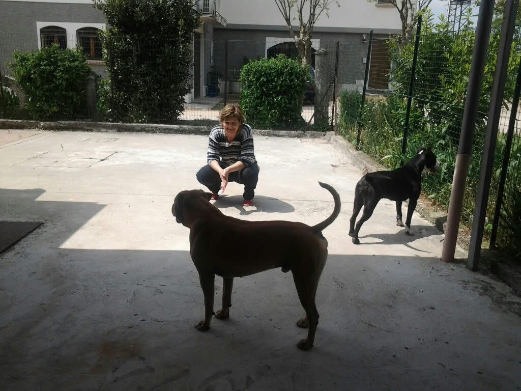 image-2