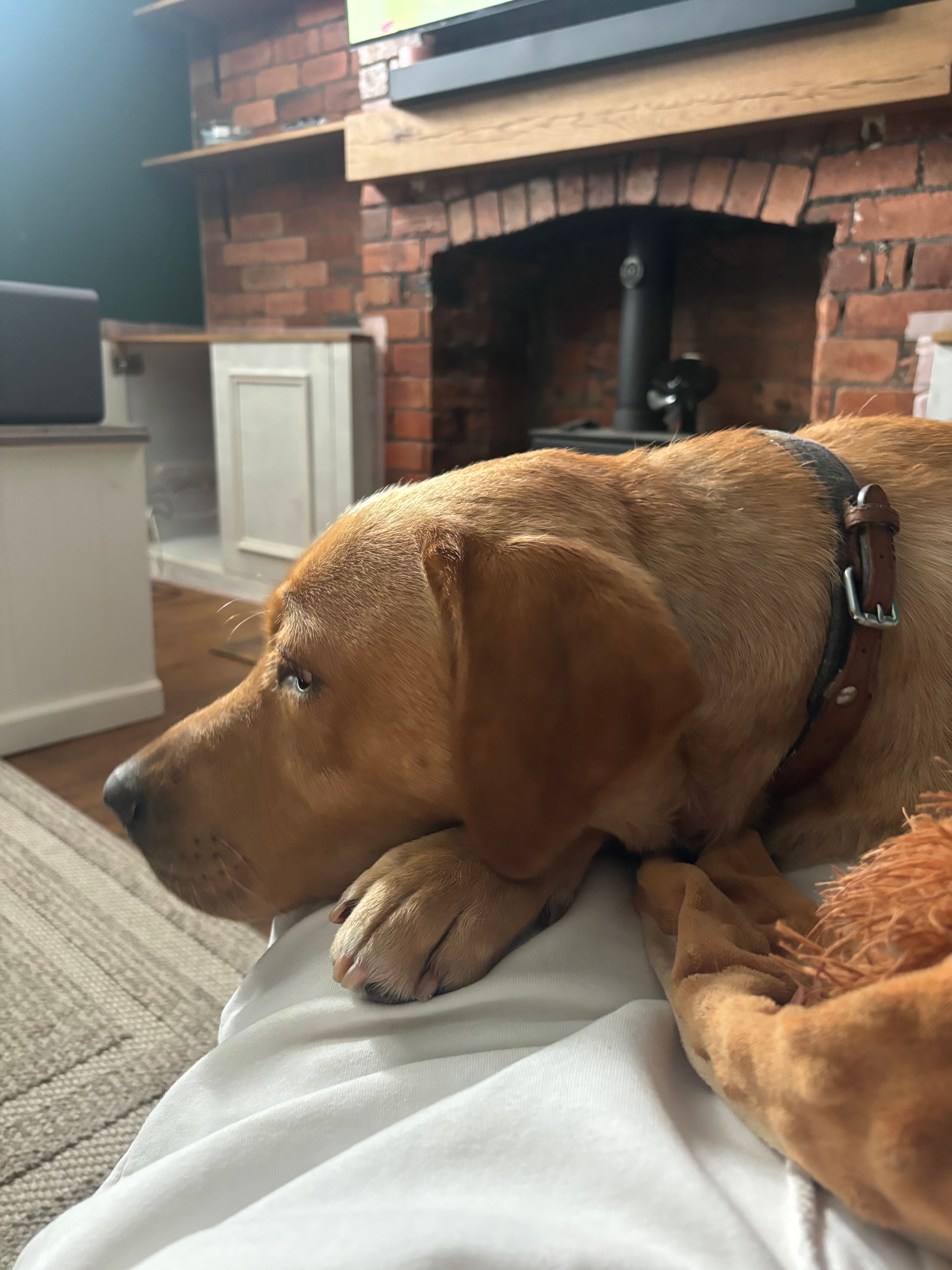 image-2