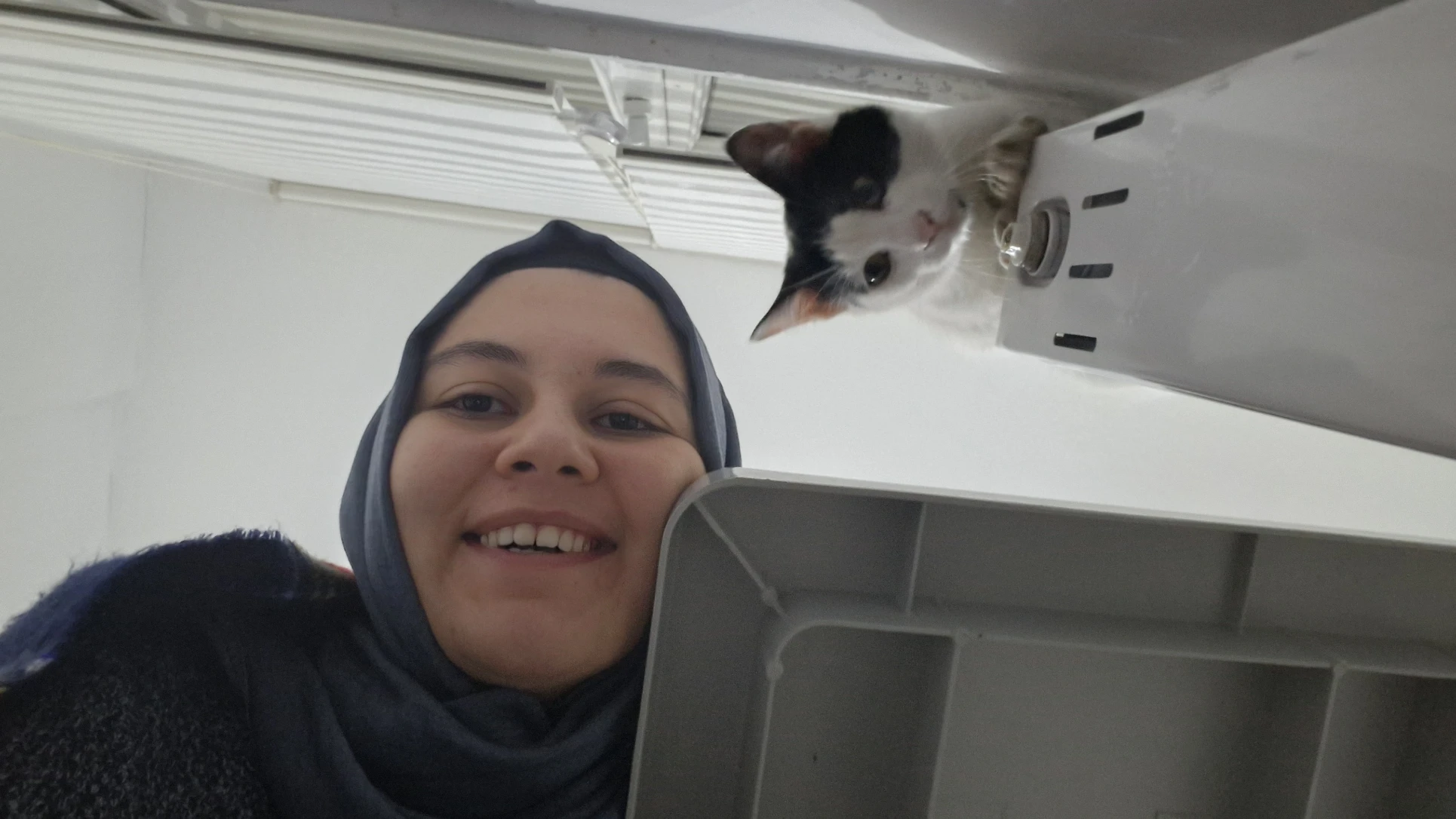 image-7