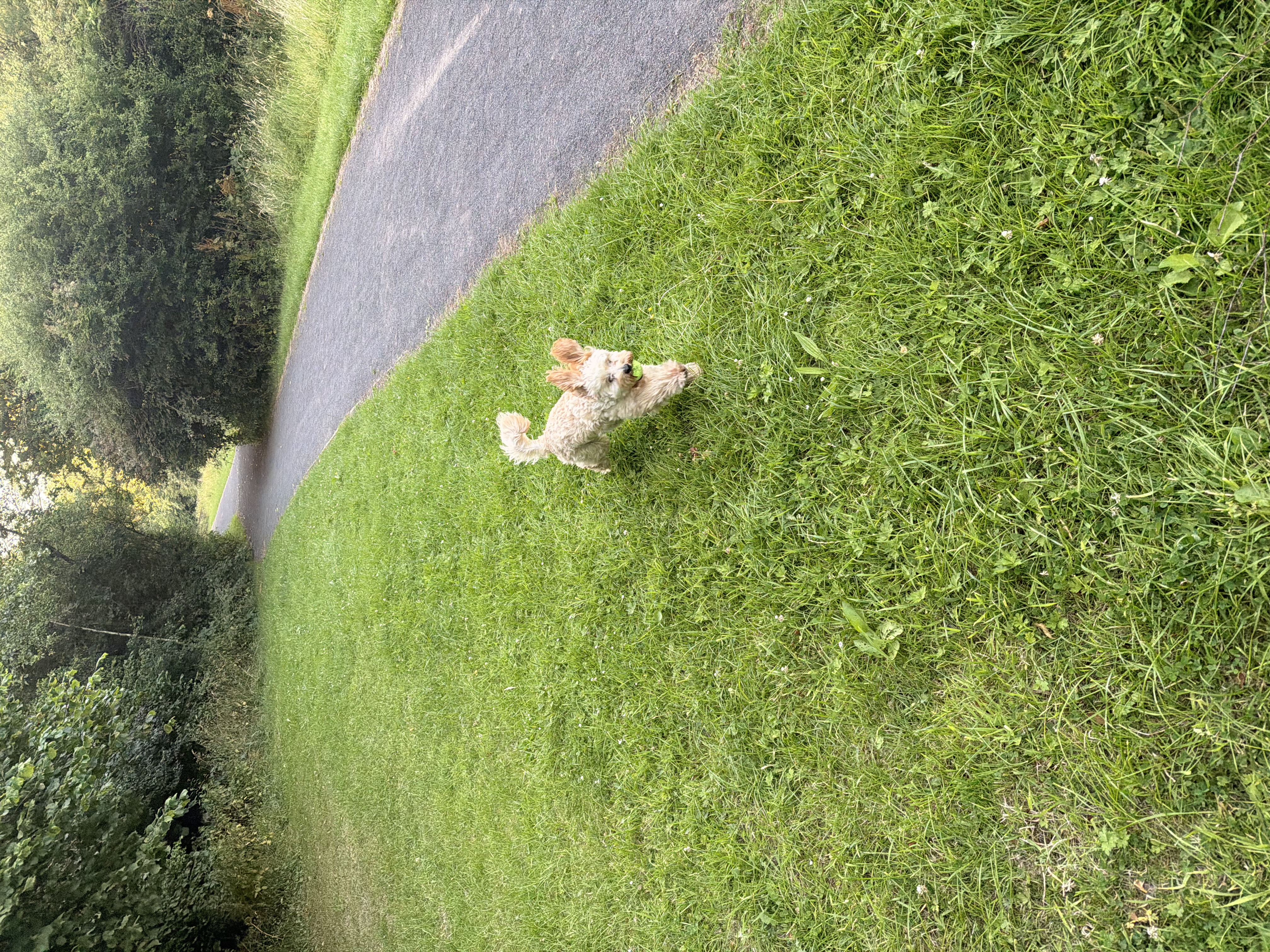 image-13