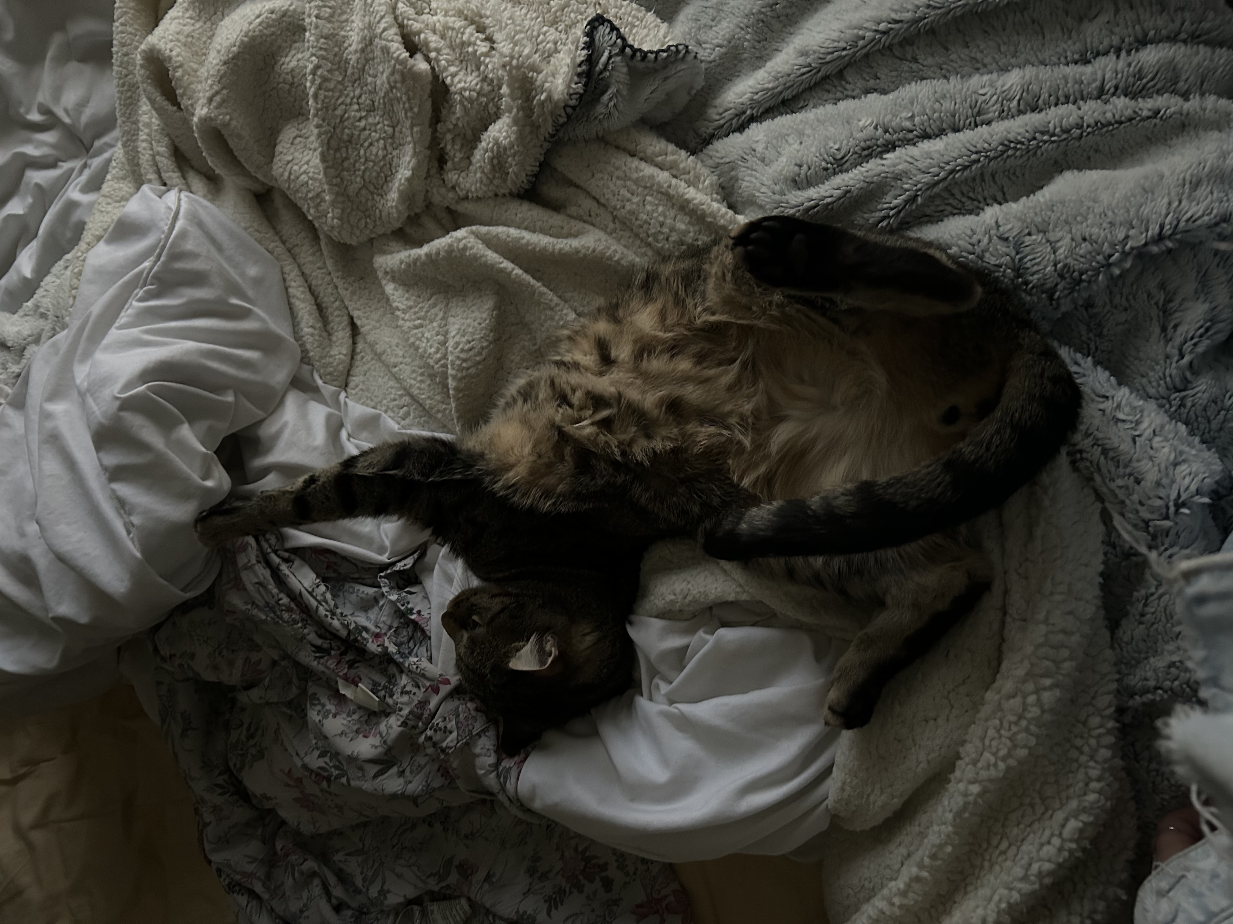image-9