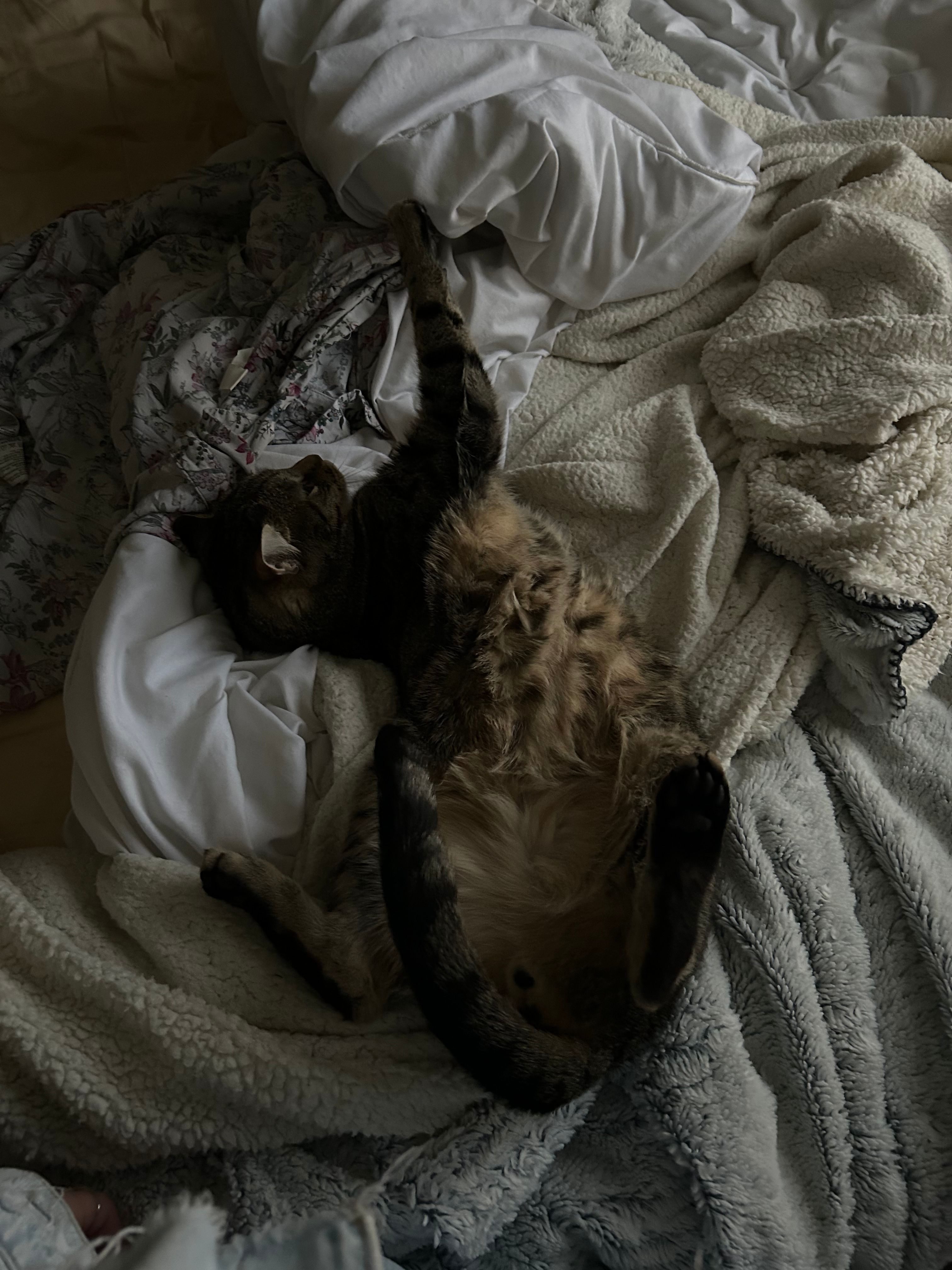 image-9
