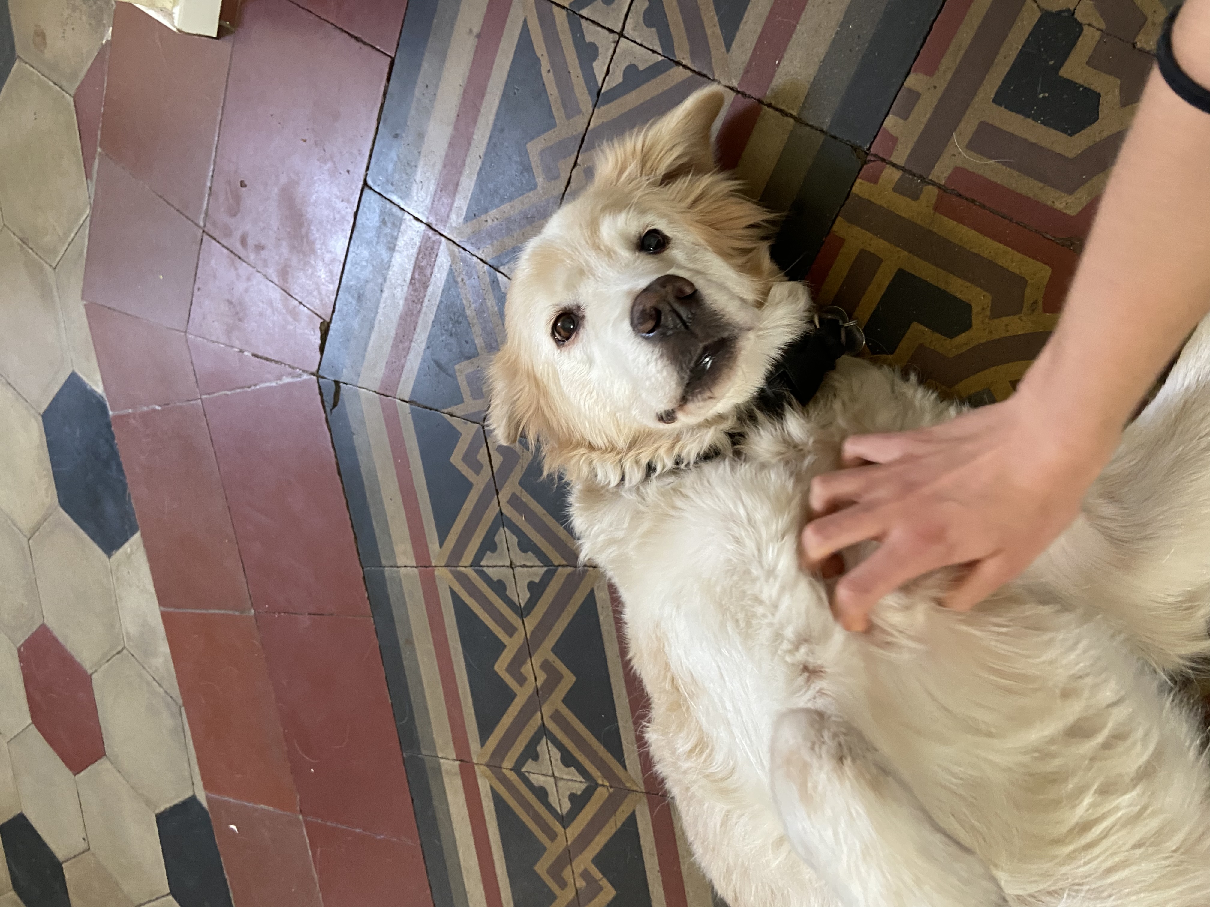 image-5