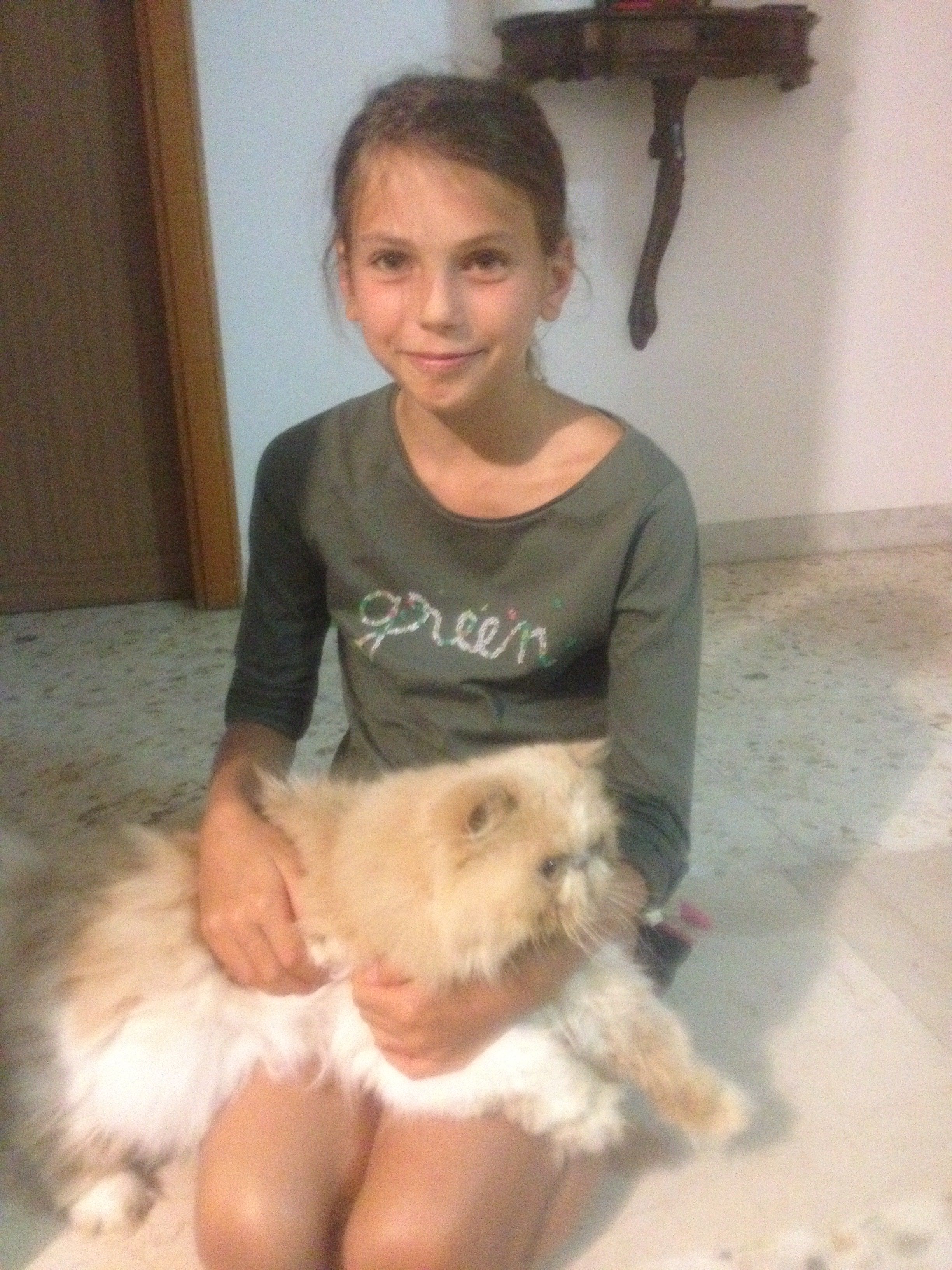 image-7