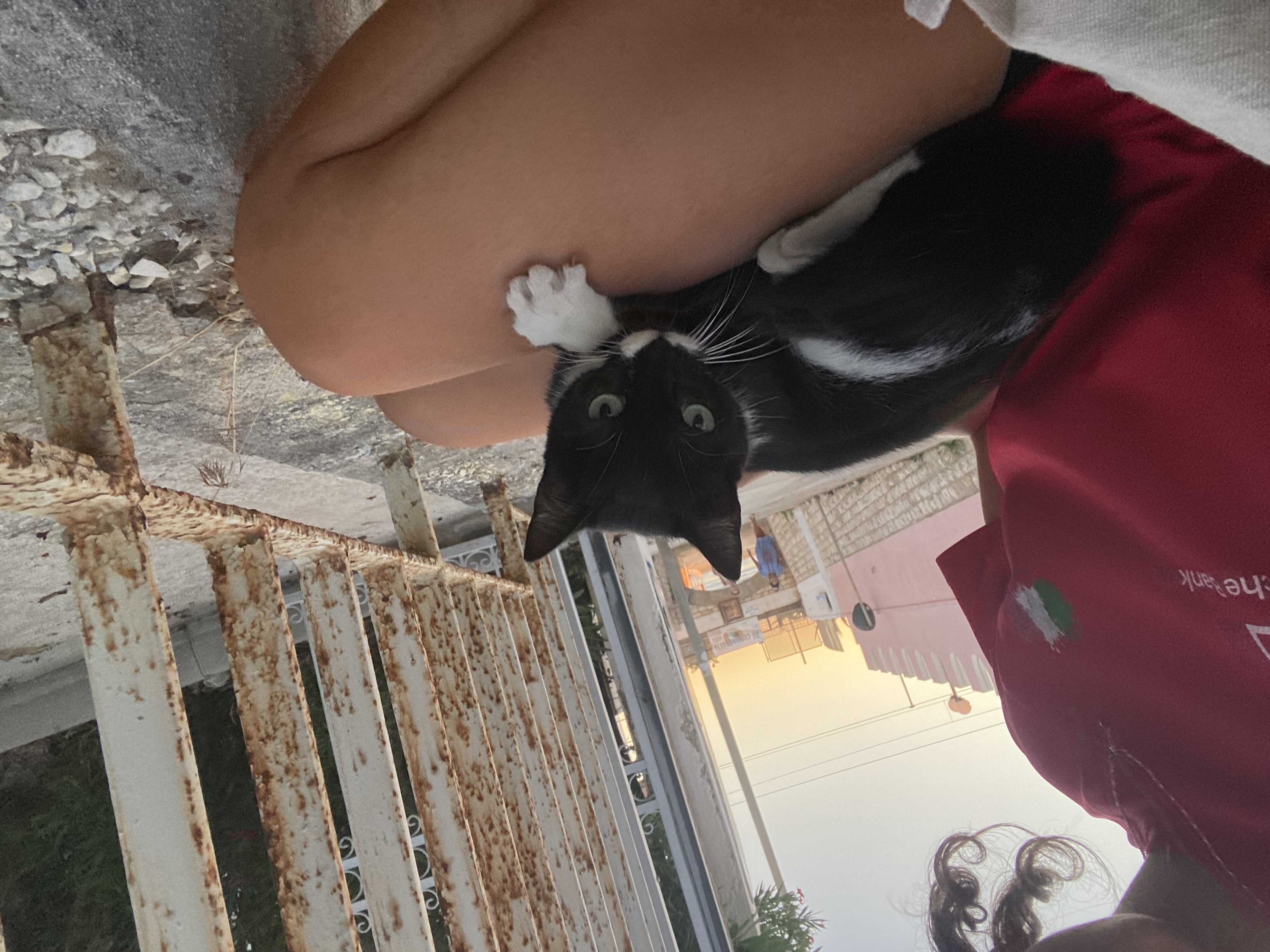 image-6
