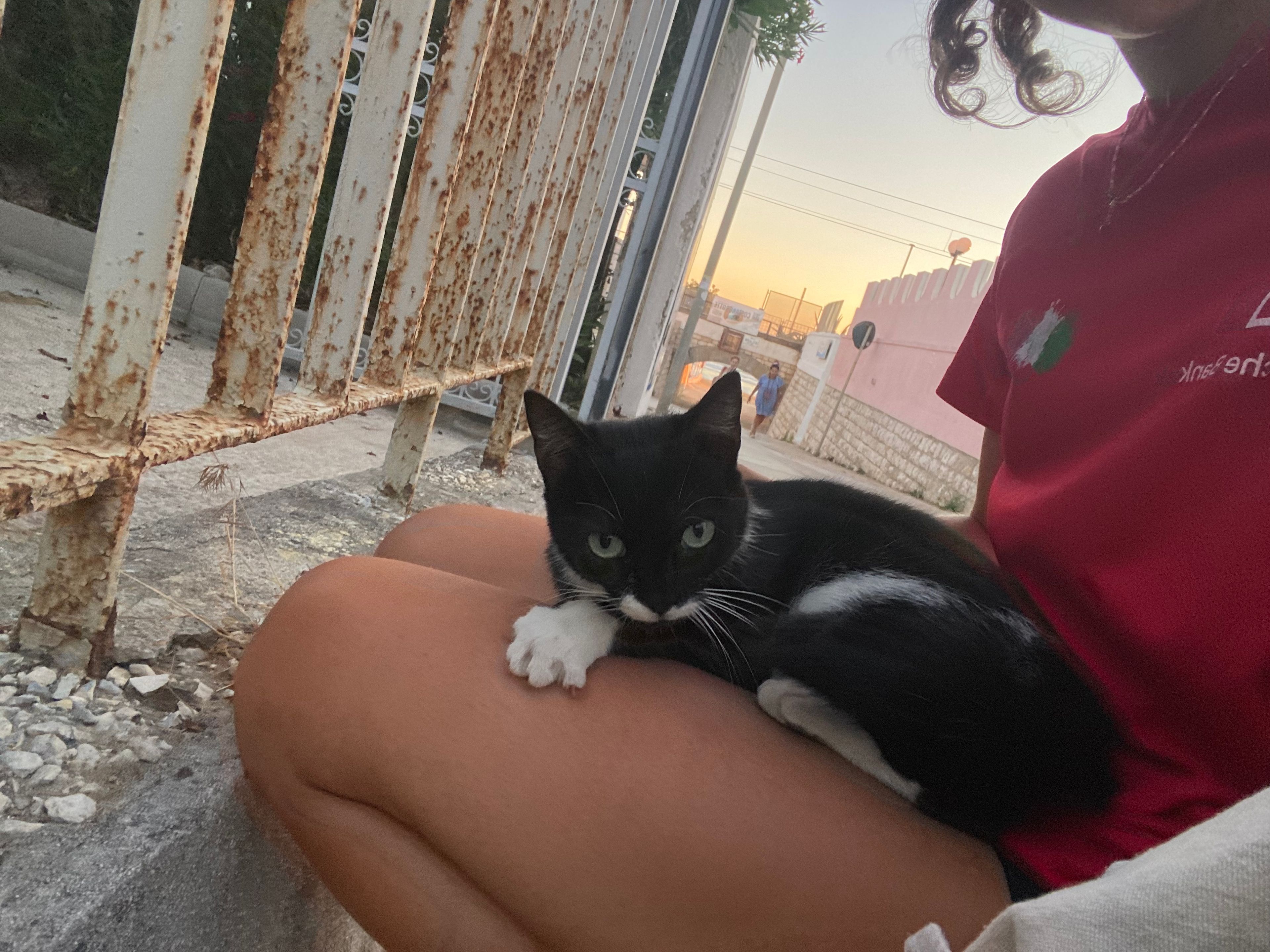 image-6