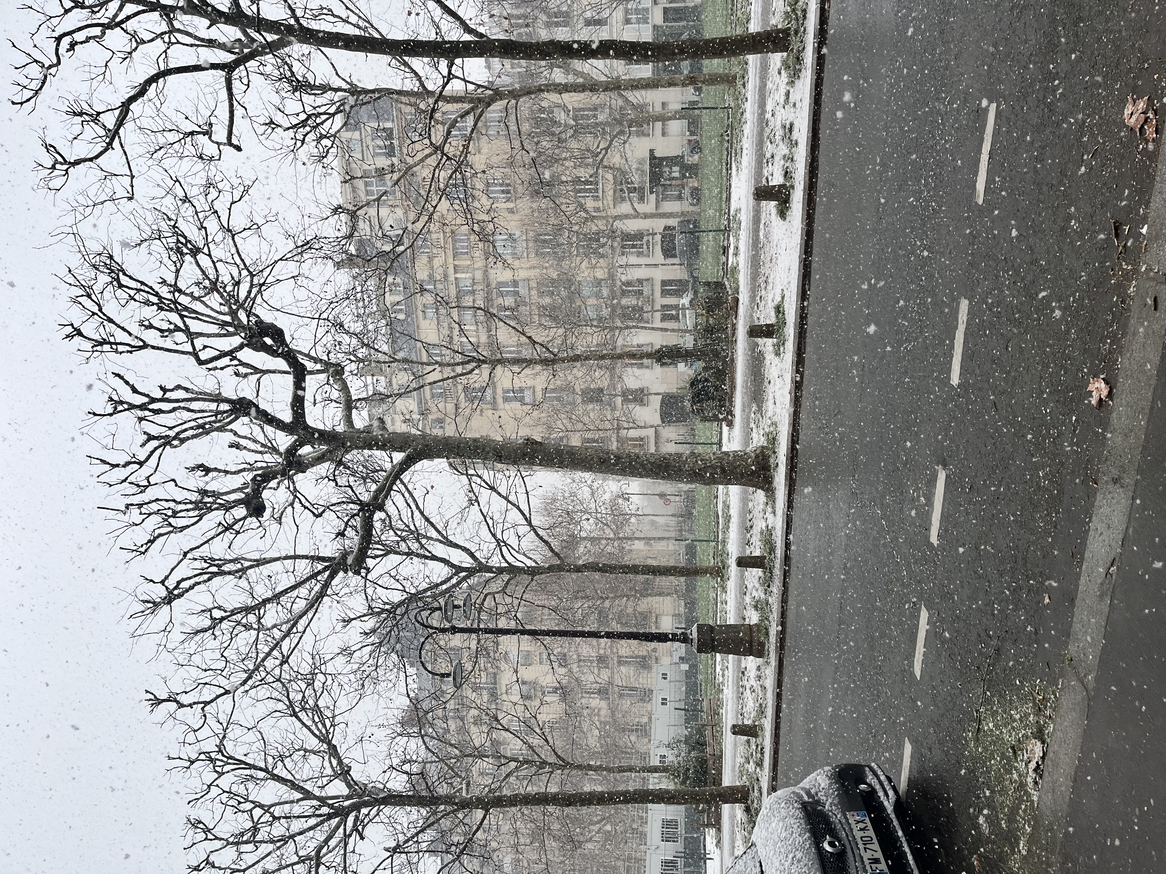 image-42