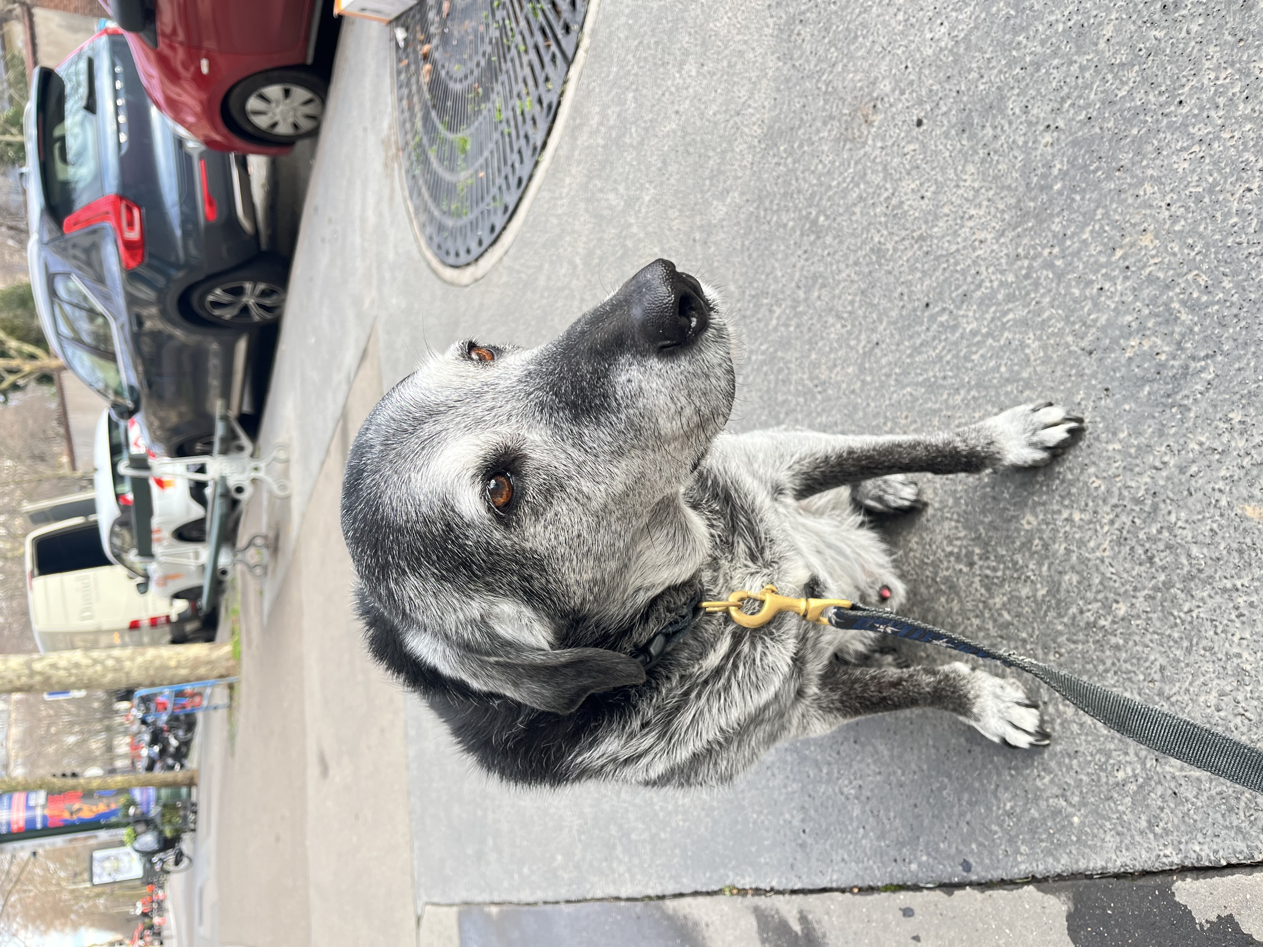 image-28