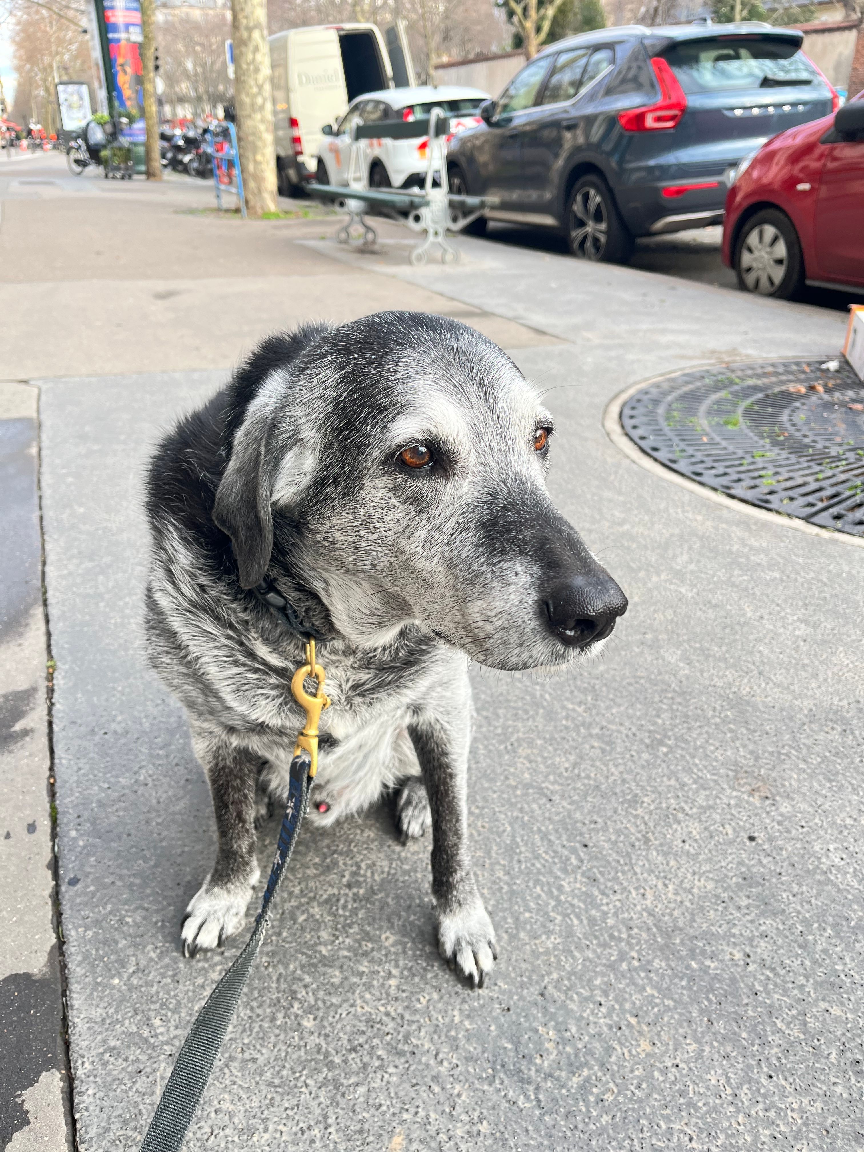 image-28