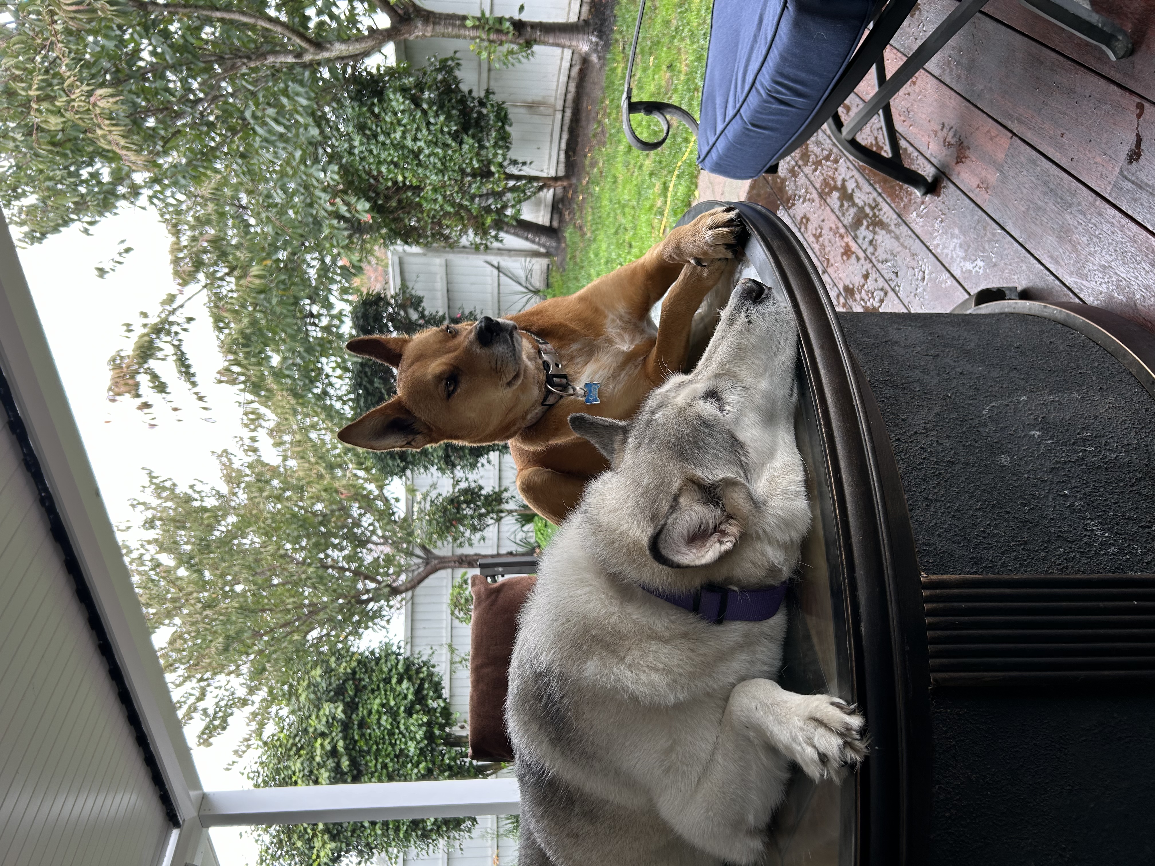 image-29