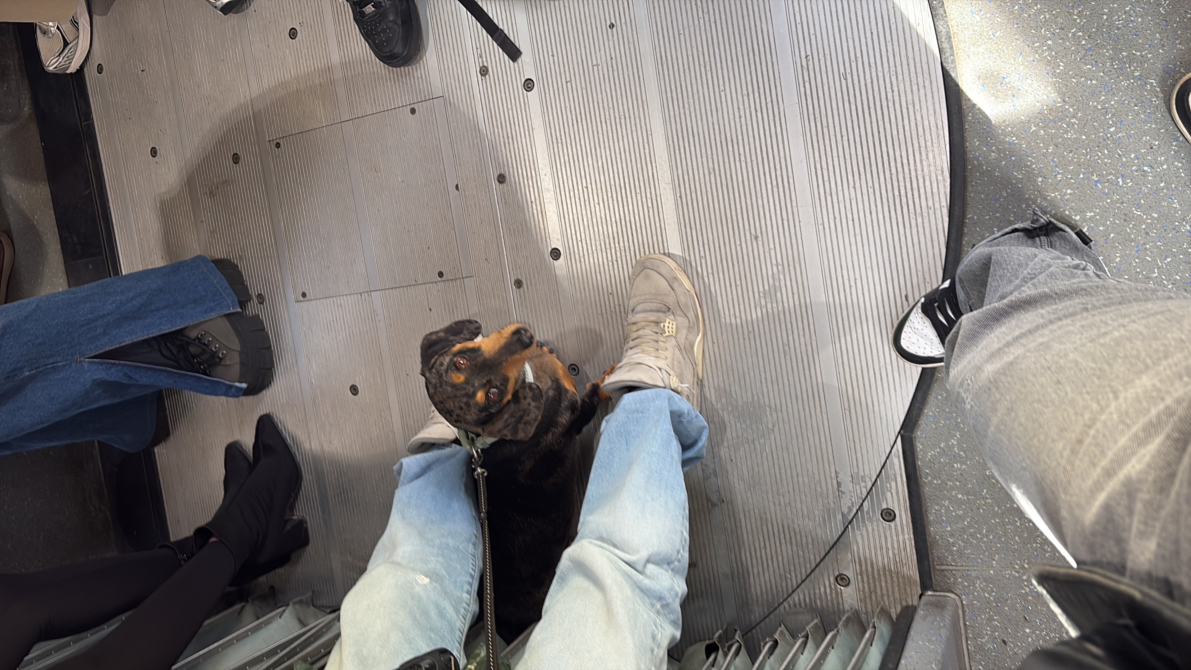 image-6