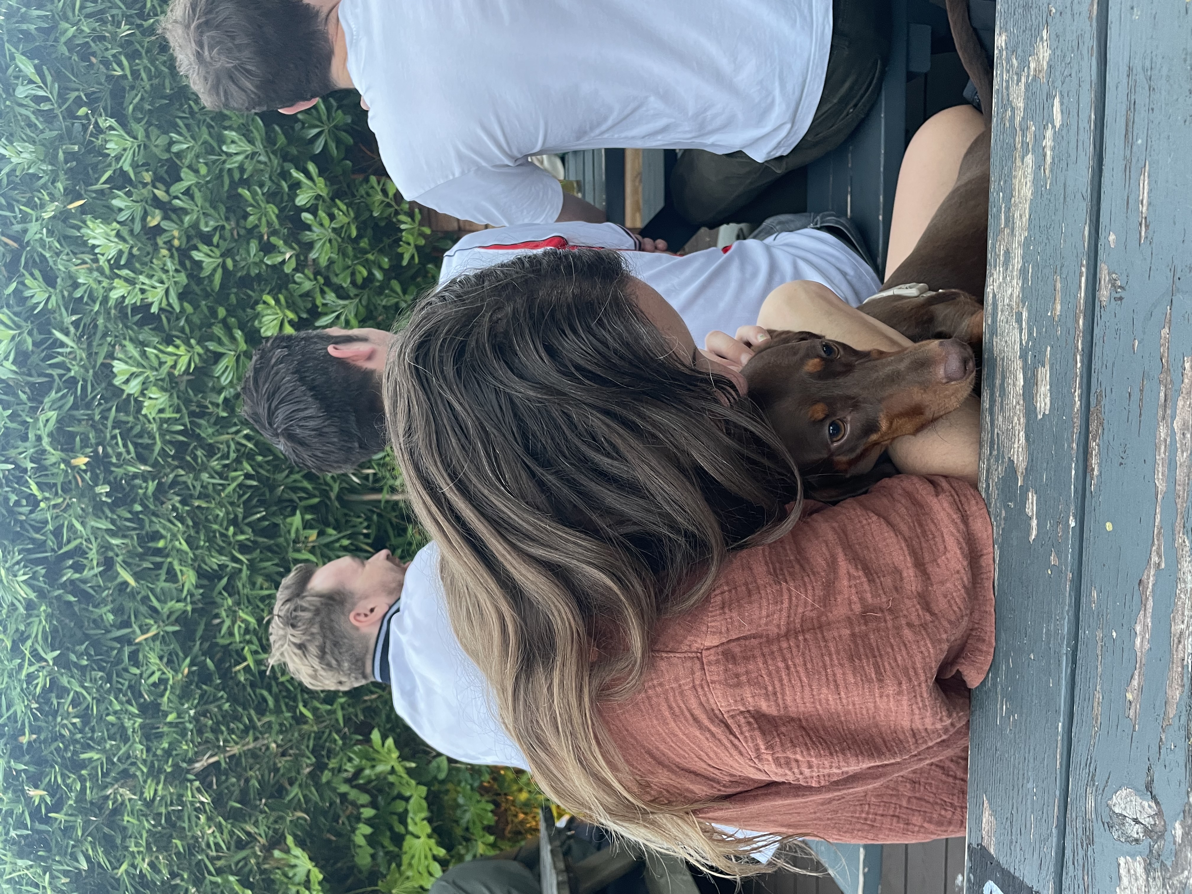 image-12