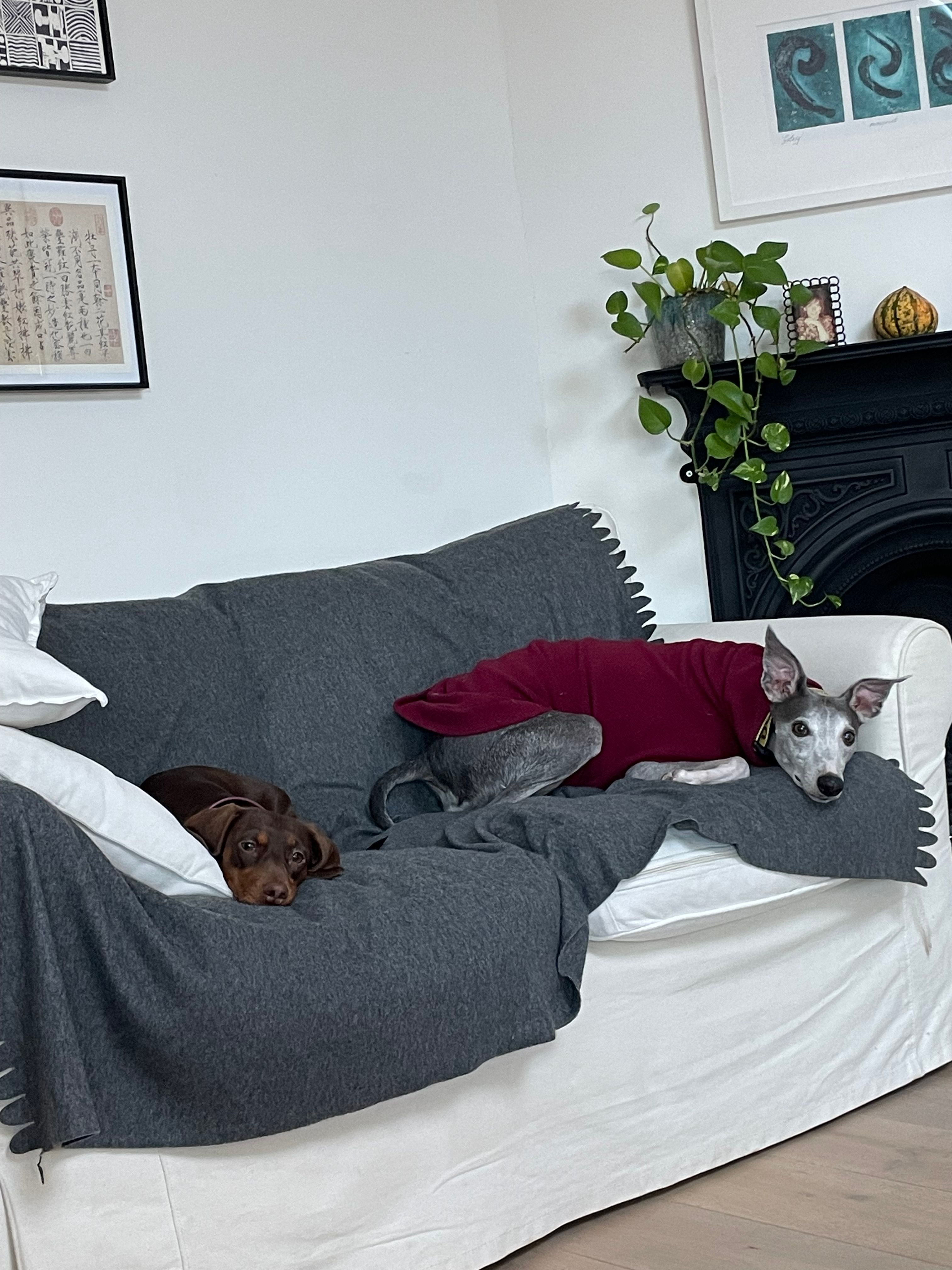 image-17