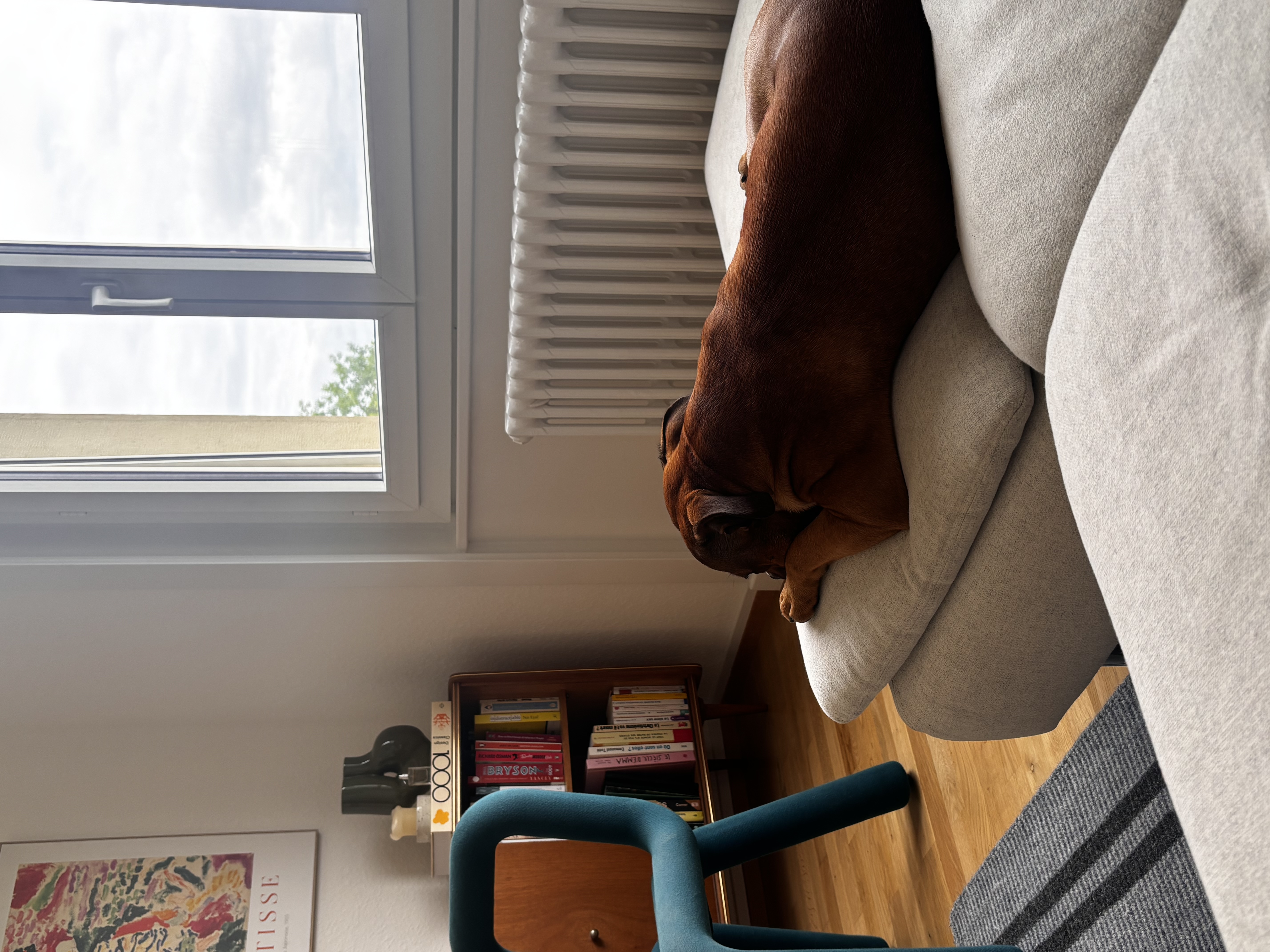 image-7