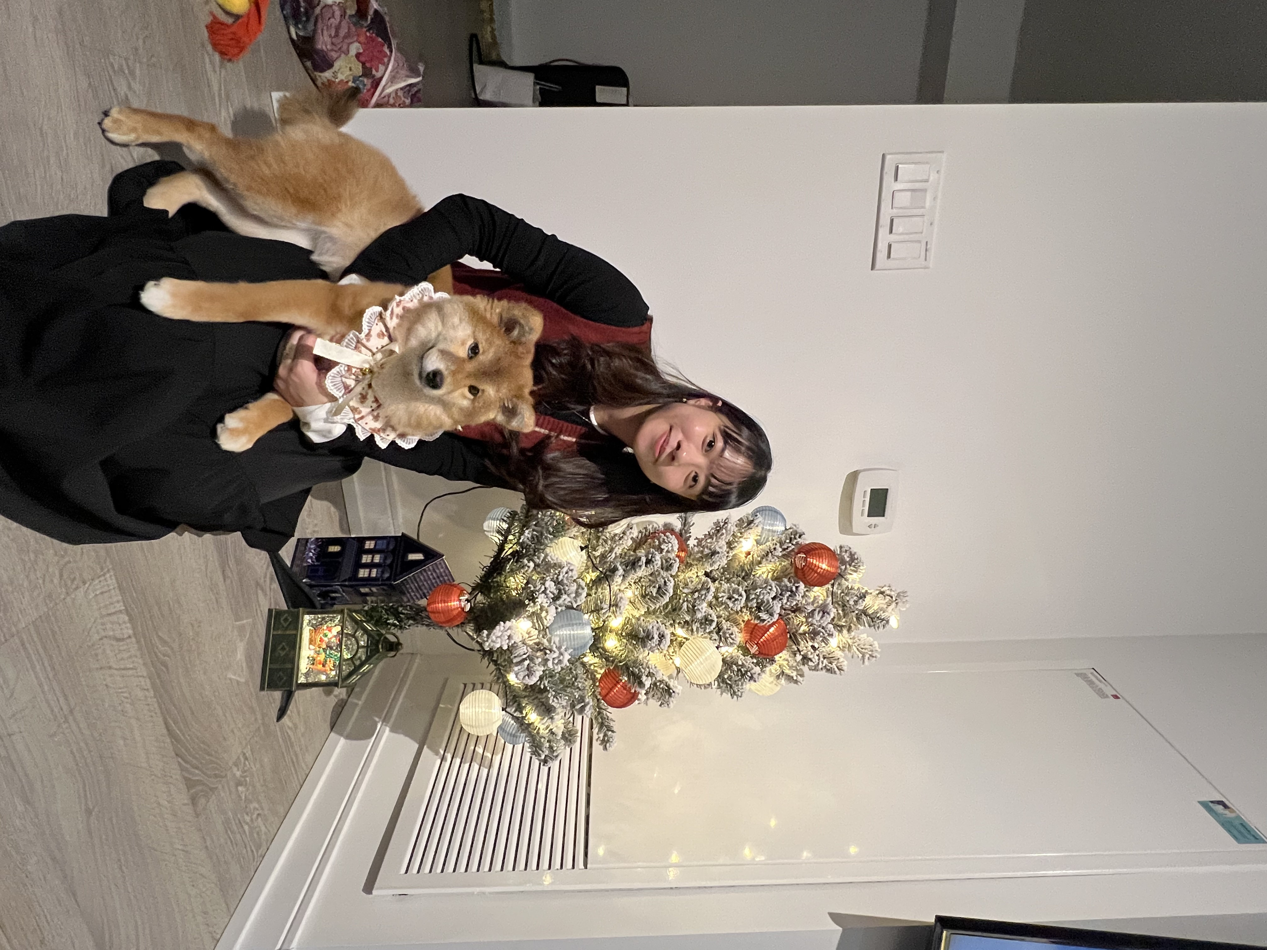 image-7