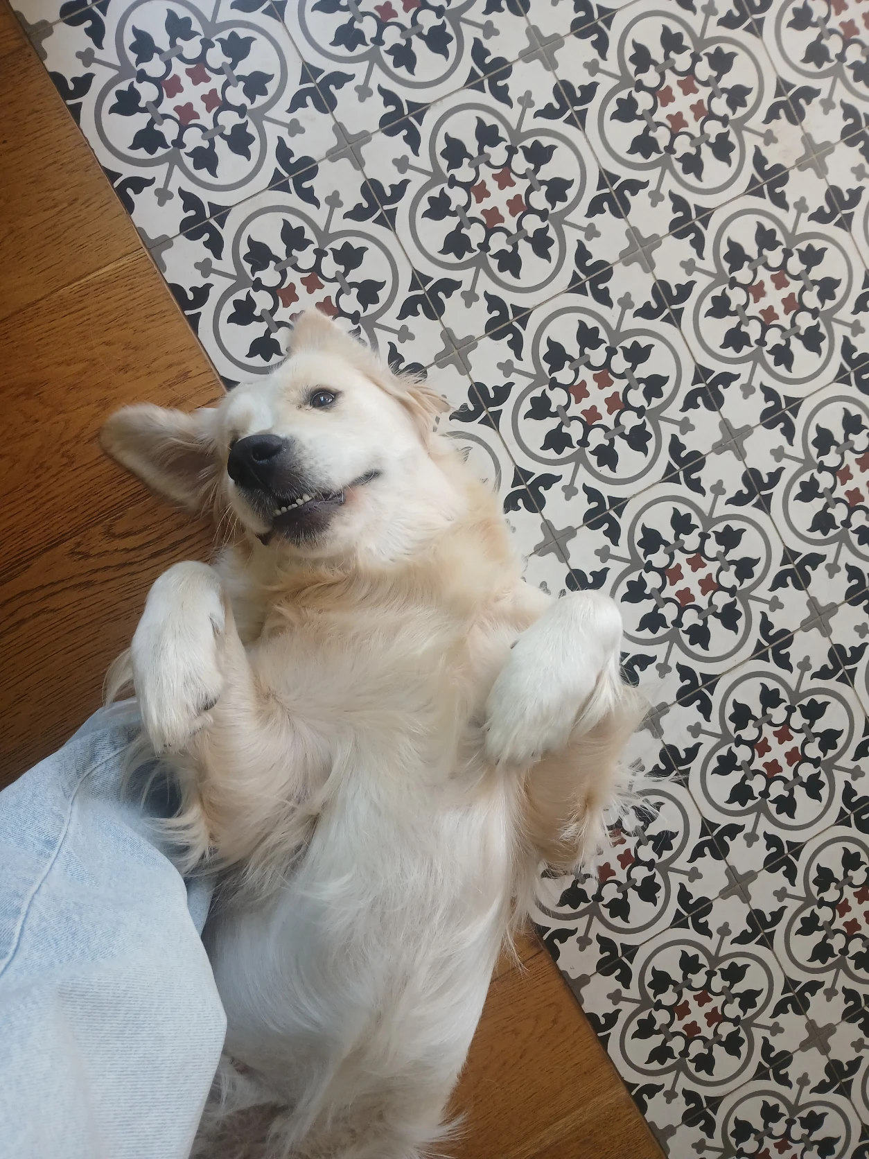 image-8